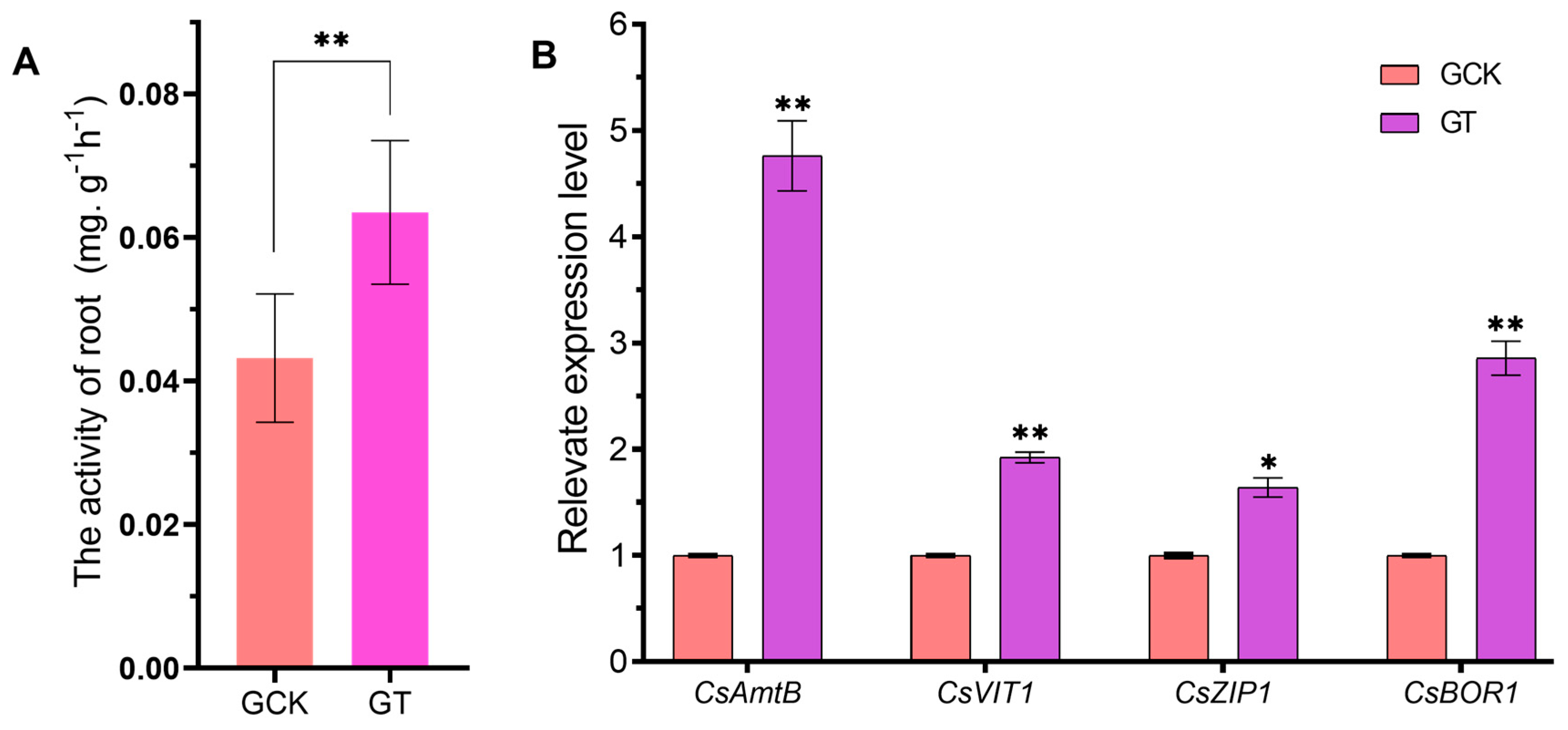 Ijms 21 03614 g005 Ijms 21 03614 g005