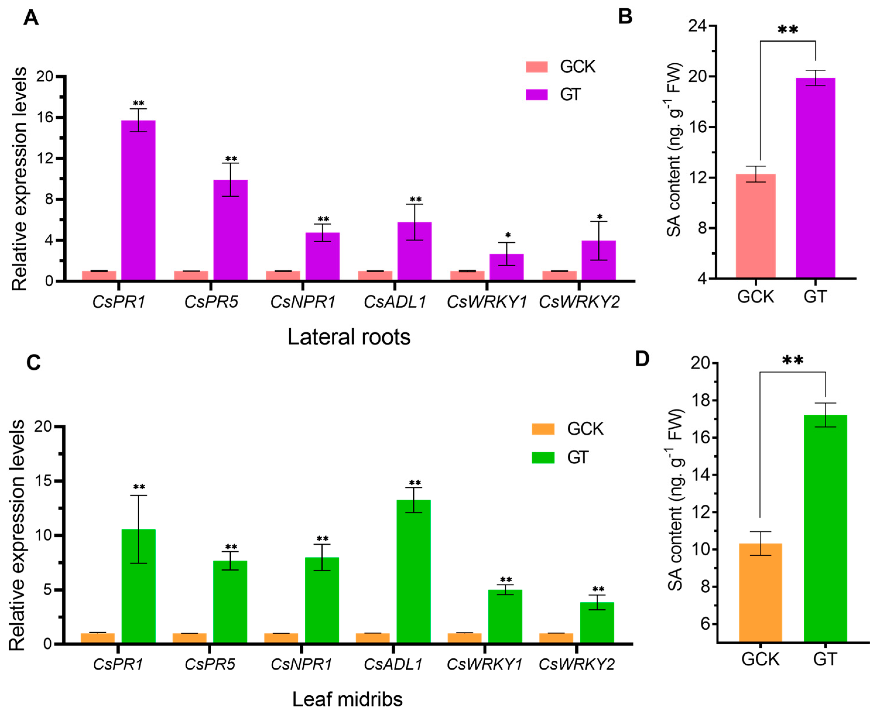 Ijms 21 03614 g006 Ijms 21 03614 g006