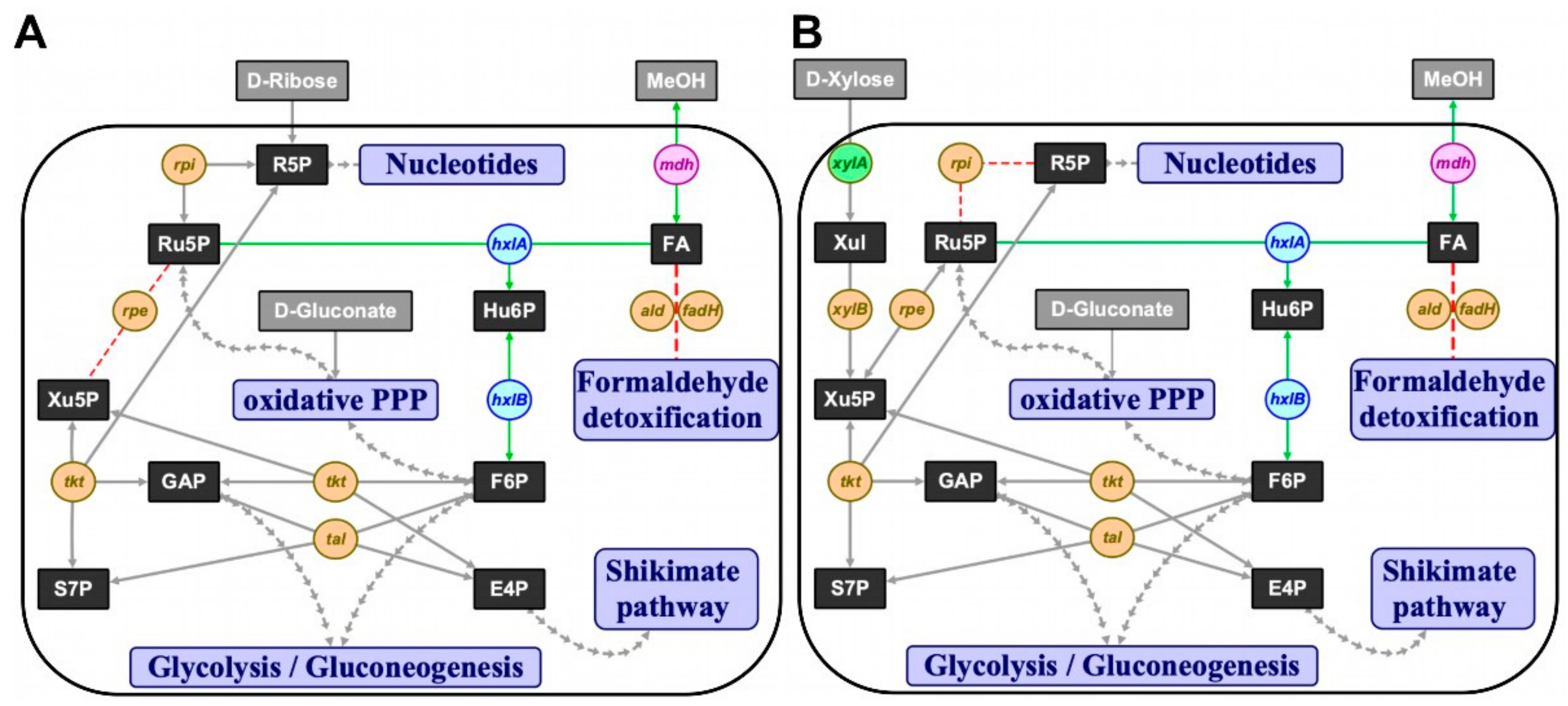 Ijms 21 03617 g001 Ijms 21 03617 g001