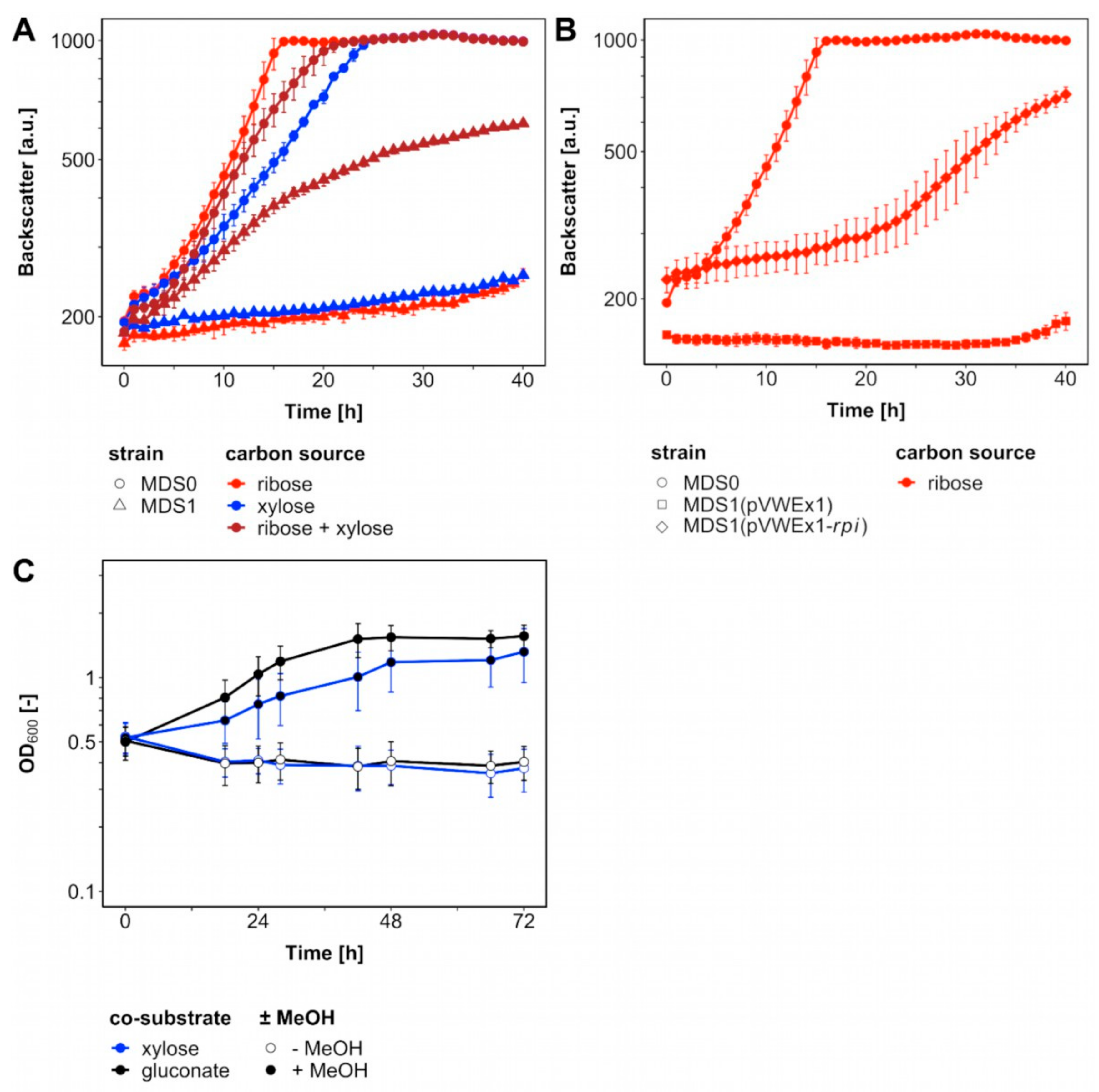 Ijms 21 03617 g002 Ijms 21 03617 g002