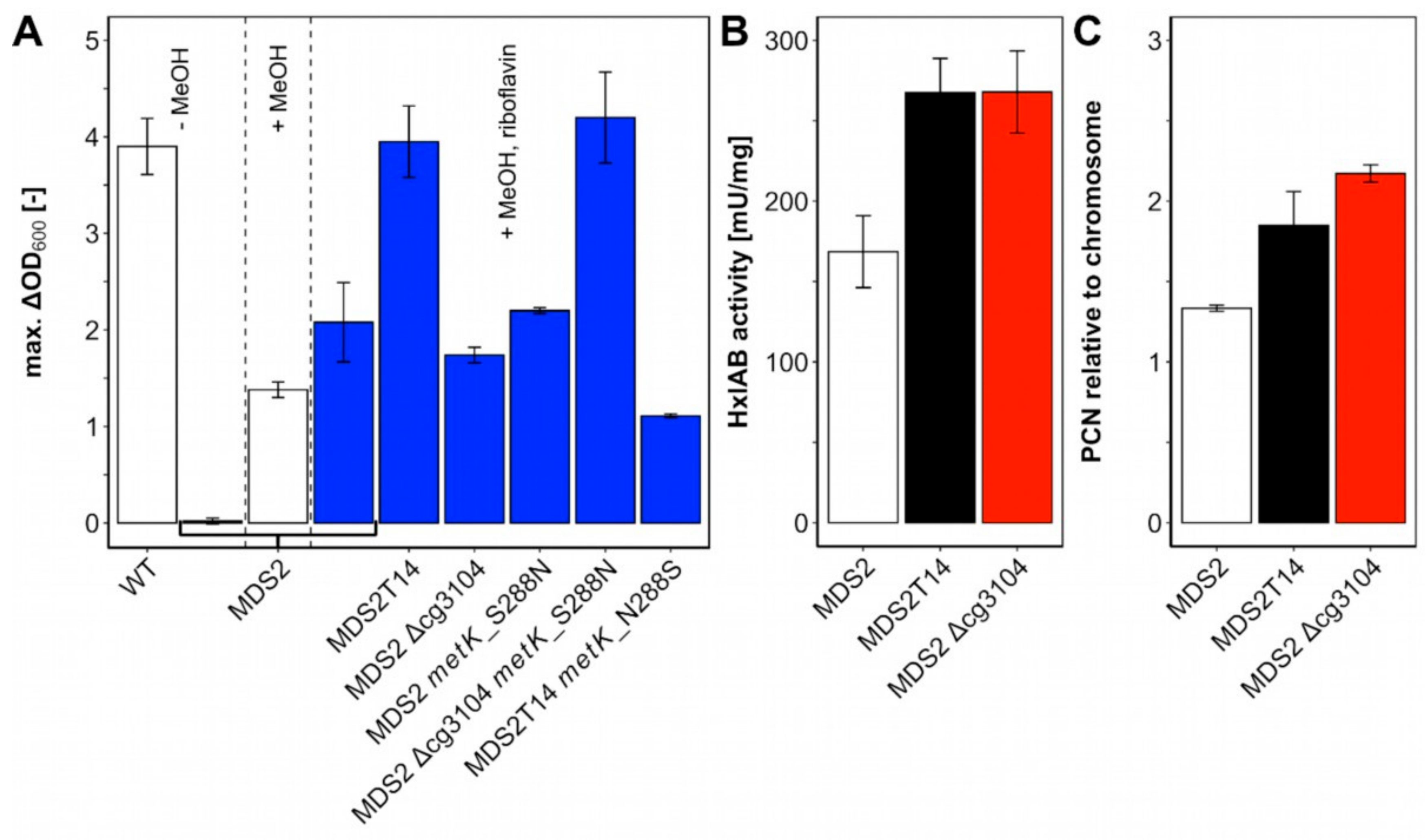 Ijms 21 03617 g004 Ijms 21 03617 g004