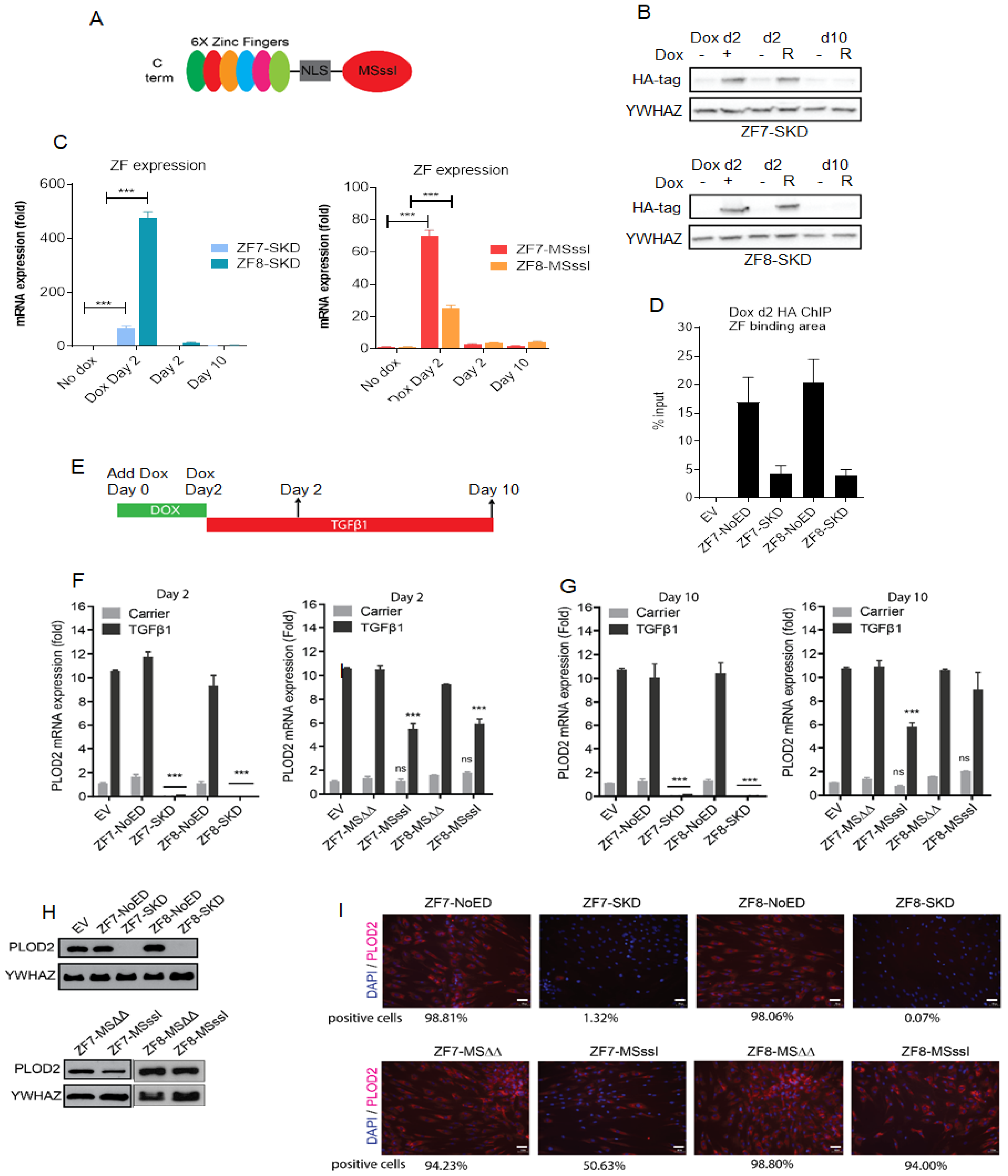 Ijms 21 03634 g002 Ijms 21 03634 g002