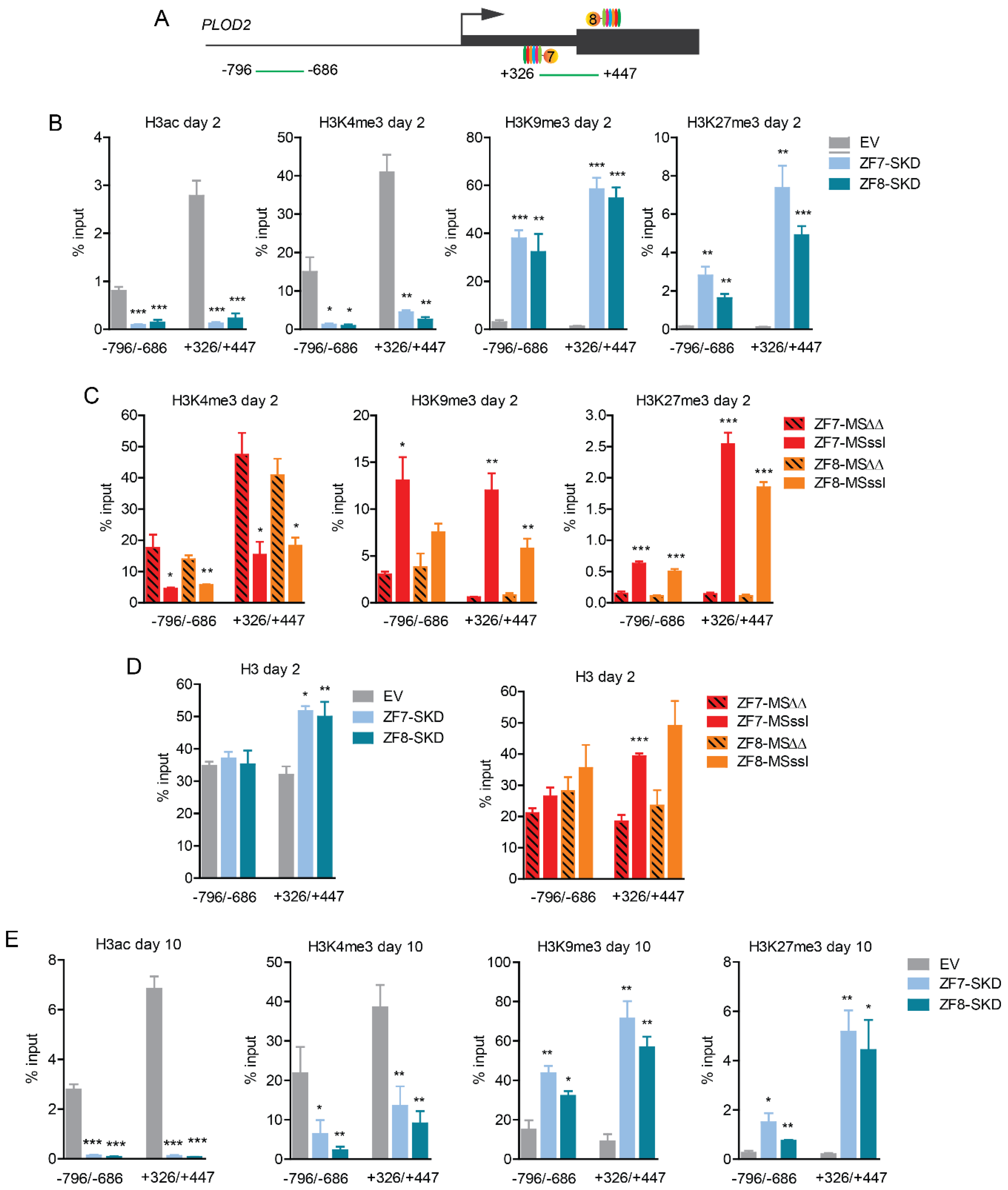 Ijms 21 03634 g003 Ijms 21 03634 g003