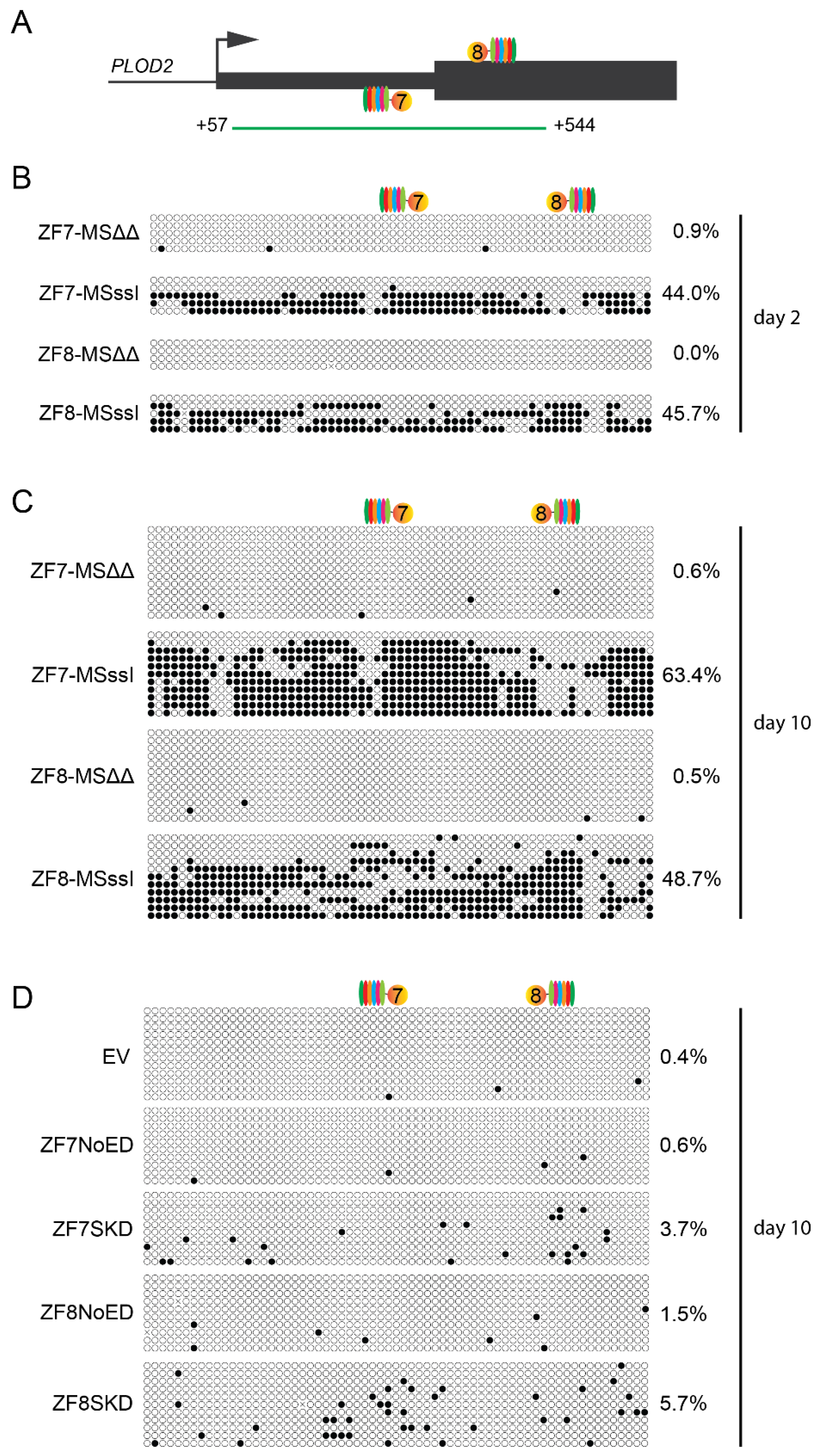 Ijms 21 03634 g004 Ijms 21 03634 g004