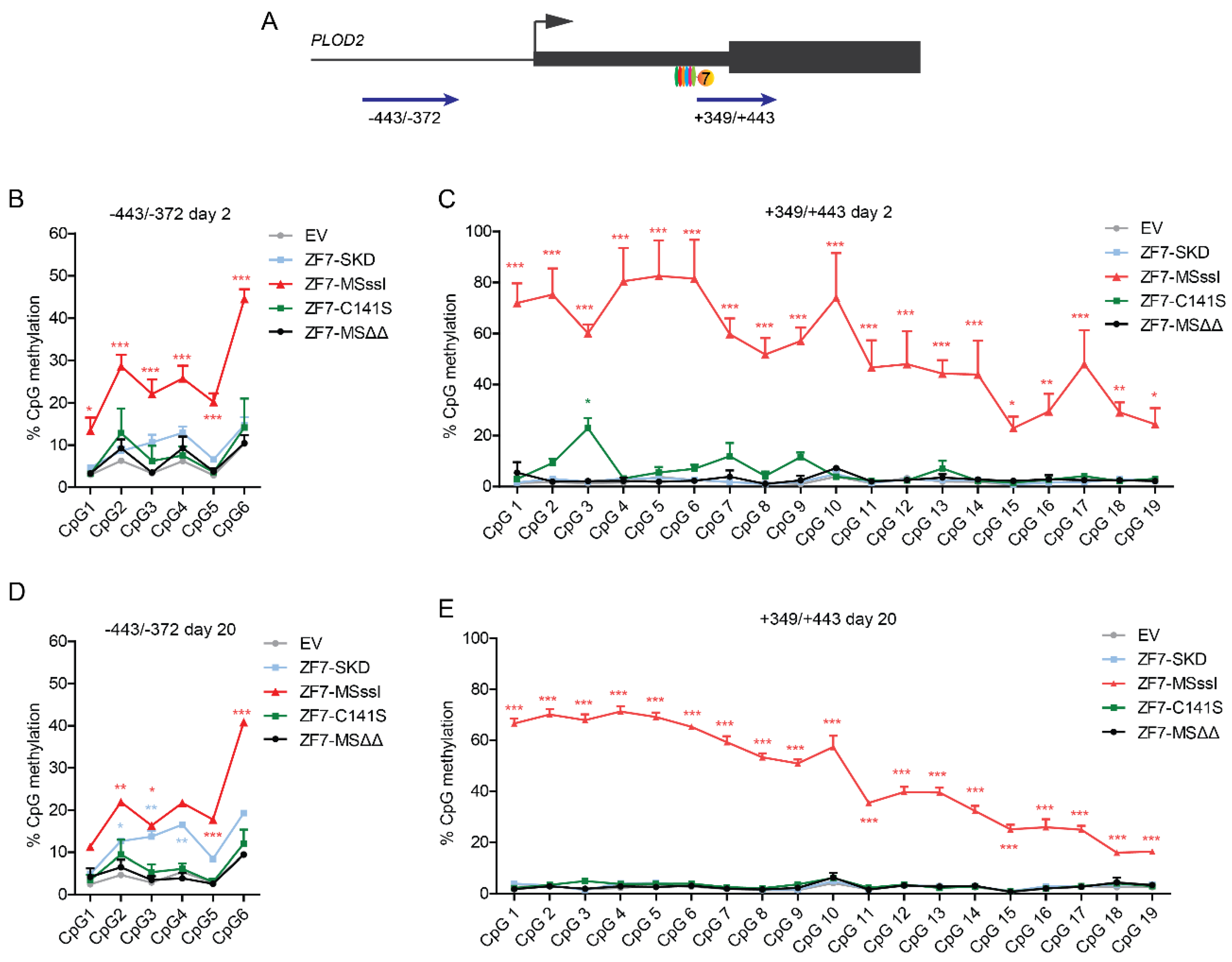 Ijms 21 03634 g006 Ijms 21 03634 g006