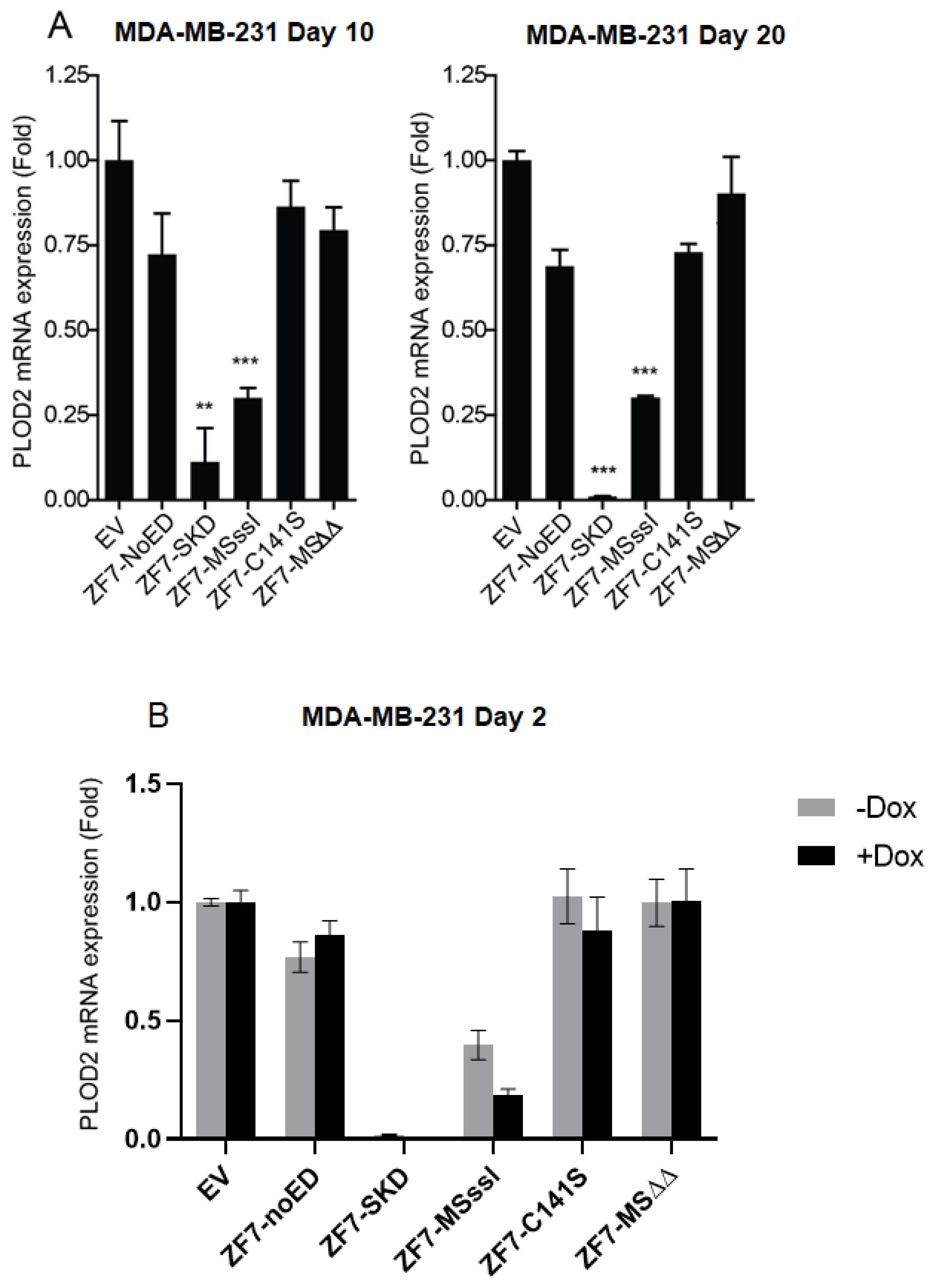 Ijms 21 03634 g007 Ijms 21 03634 g007