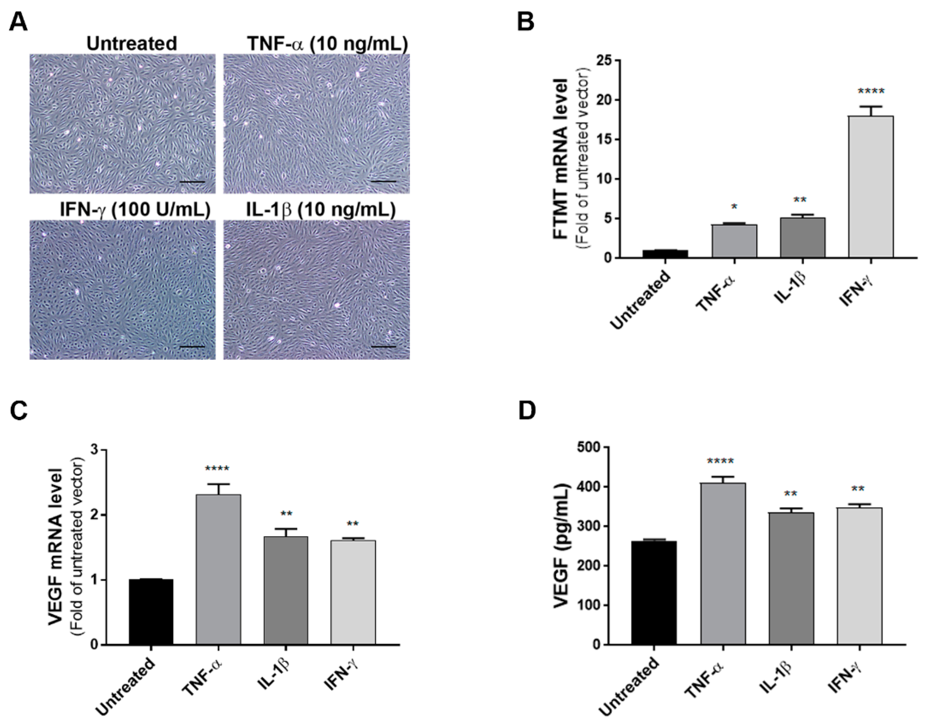 Ijms 21 03635 g002 Ijms 21 03635 g002