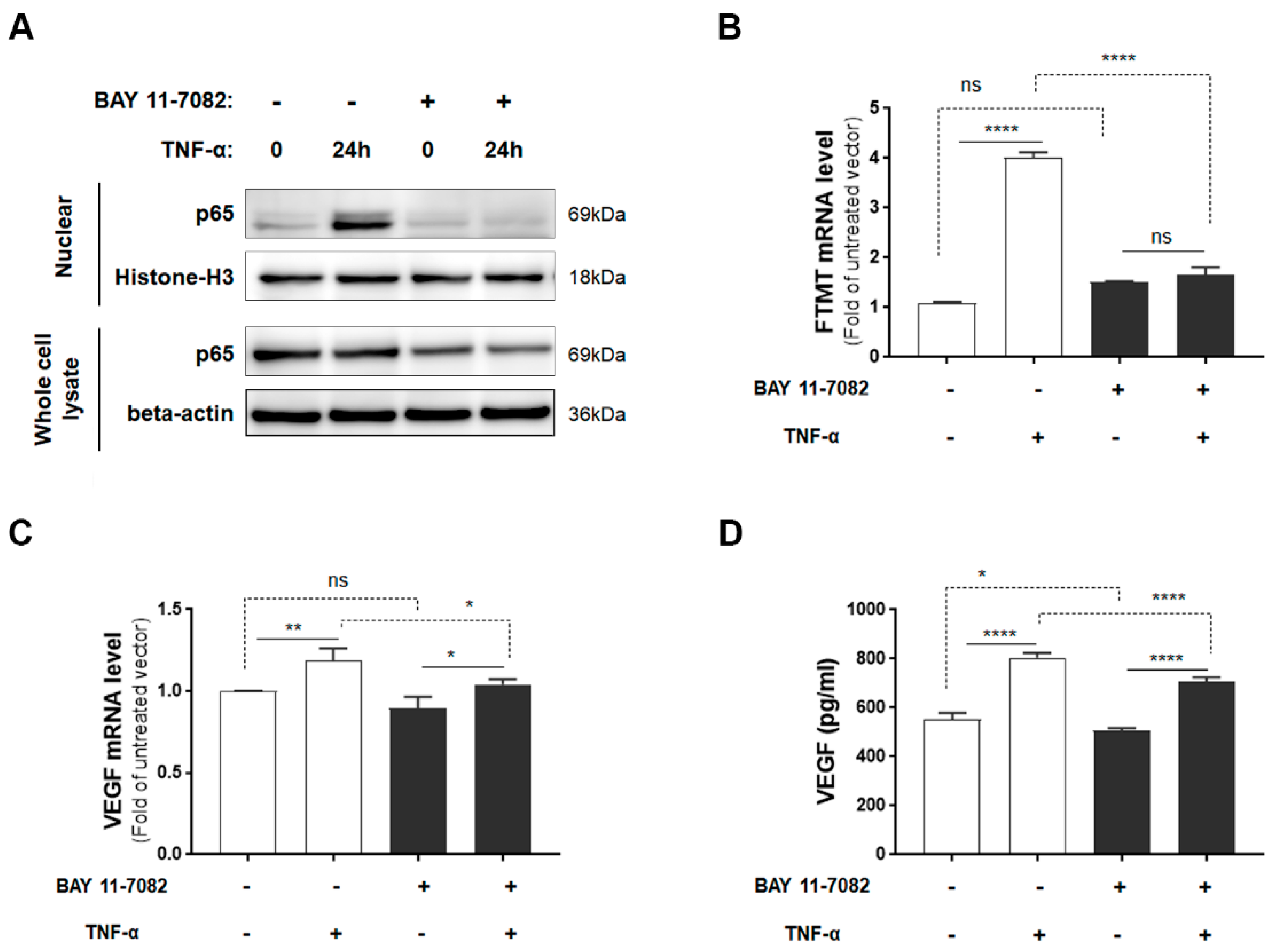 Ijms 21 03635 g003 Ijms 21 03635 g003