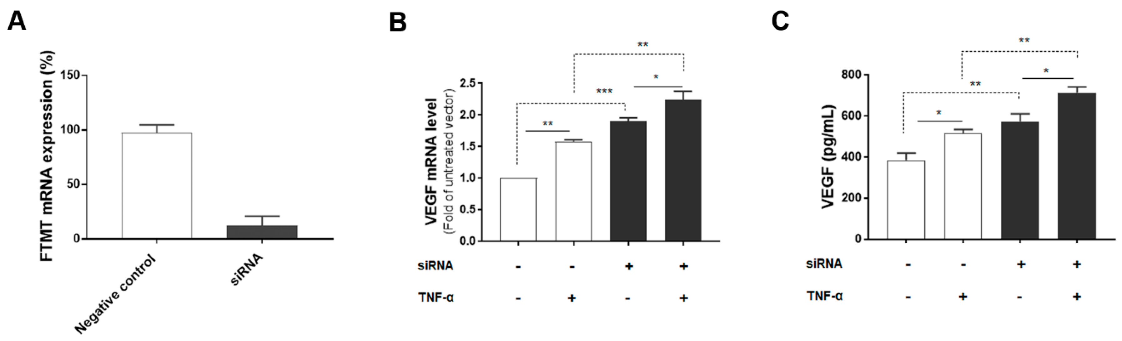 Ijms 21 03635 g004 Ijms 21 03635 g004