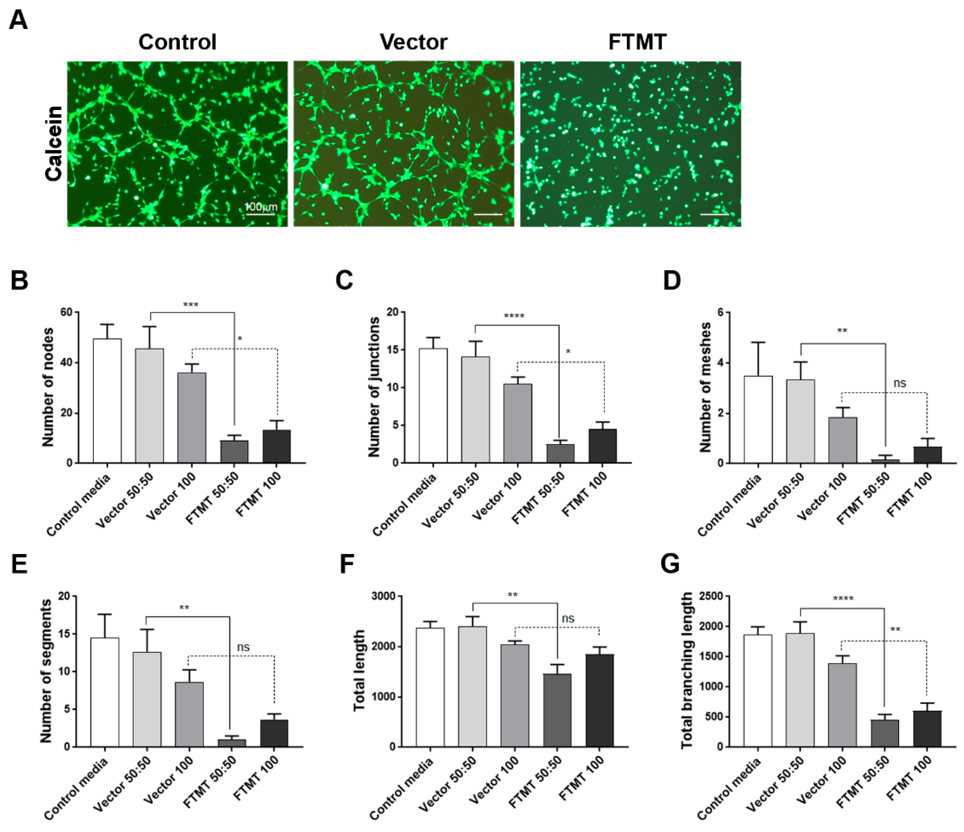 Ijms 21 03635 g008 Ijms 21 03635 g008