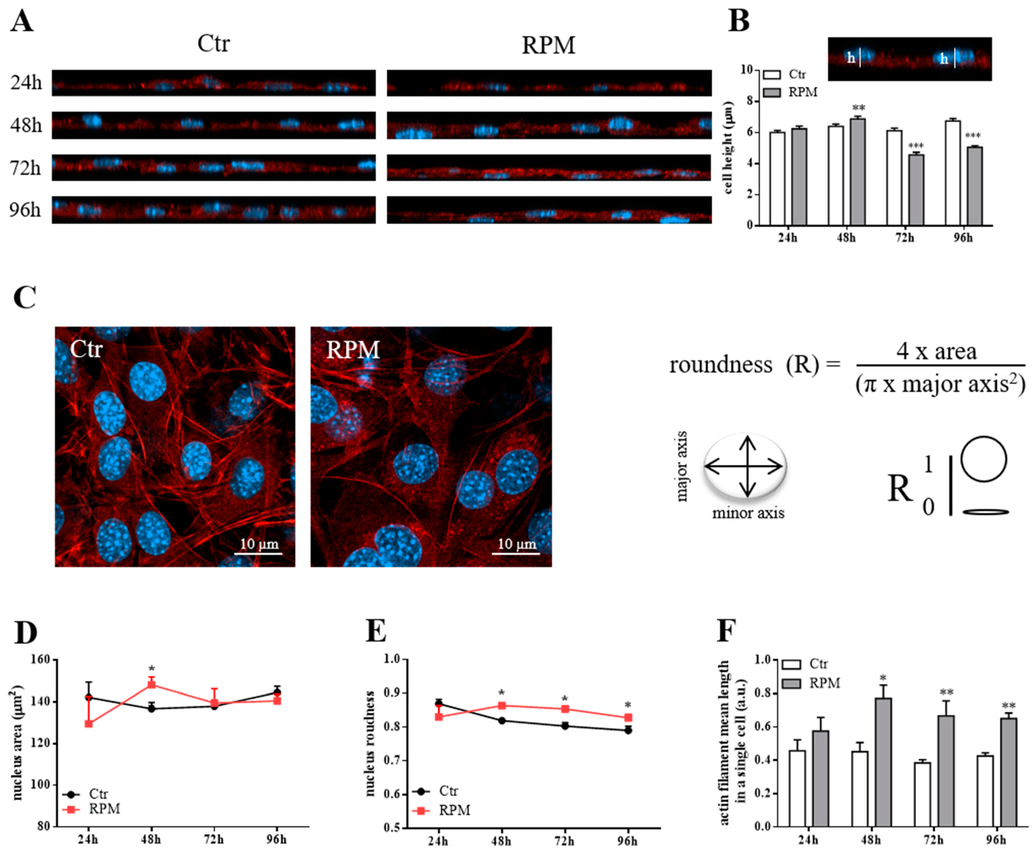 Ijms 21 03638 g001 Ijms 21 03638 g001