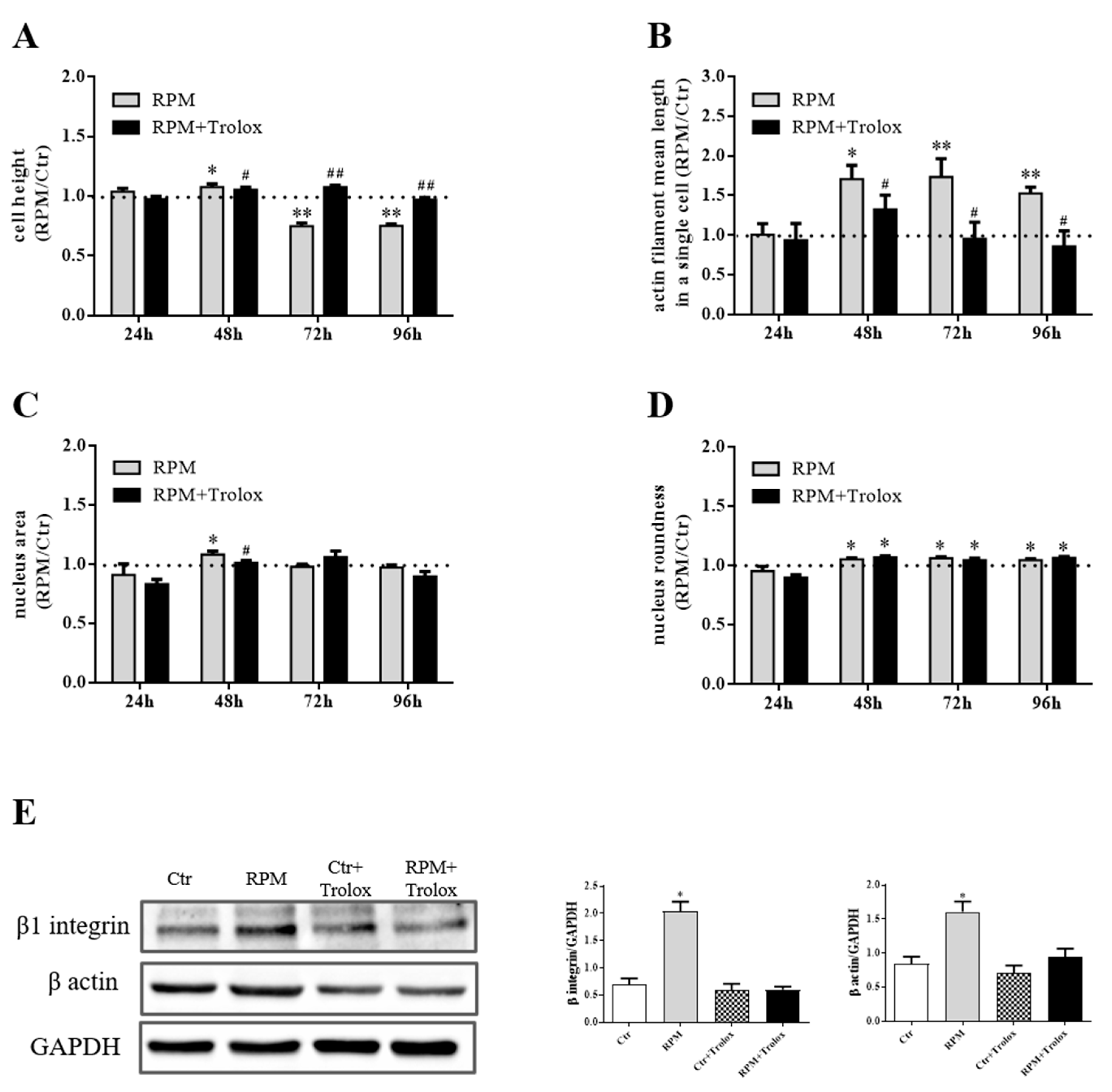 Ijms 21 03638 g005 Ijms 21 03638 g005