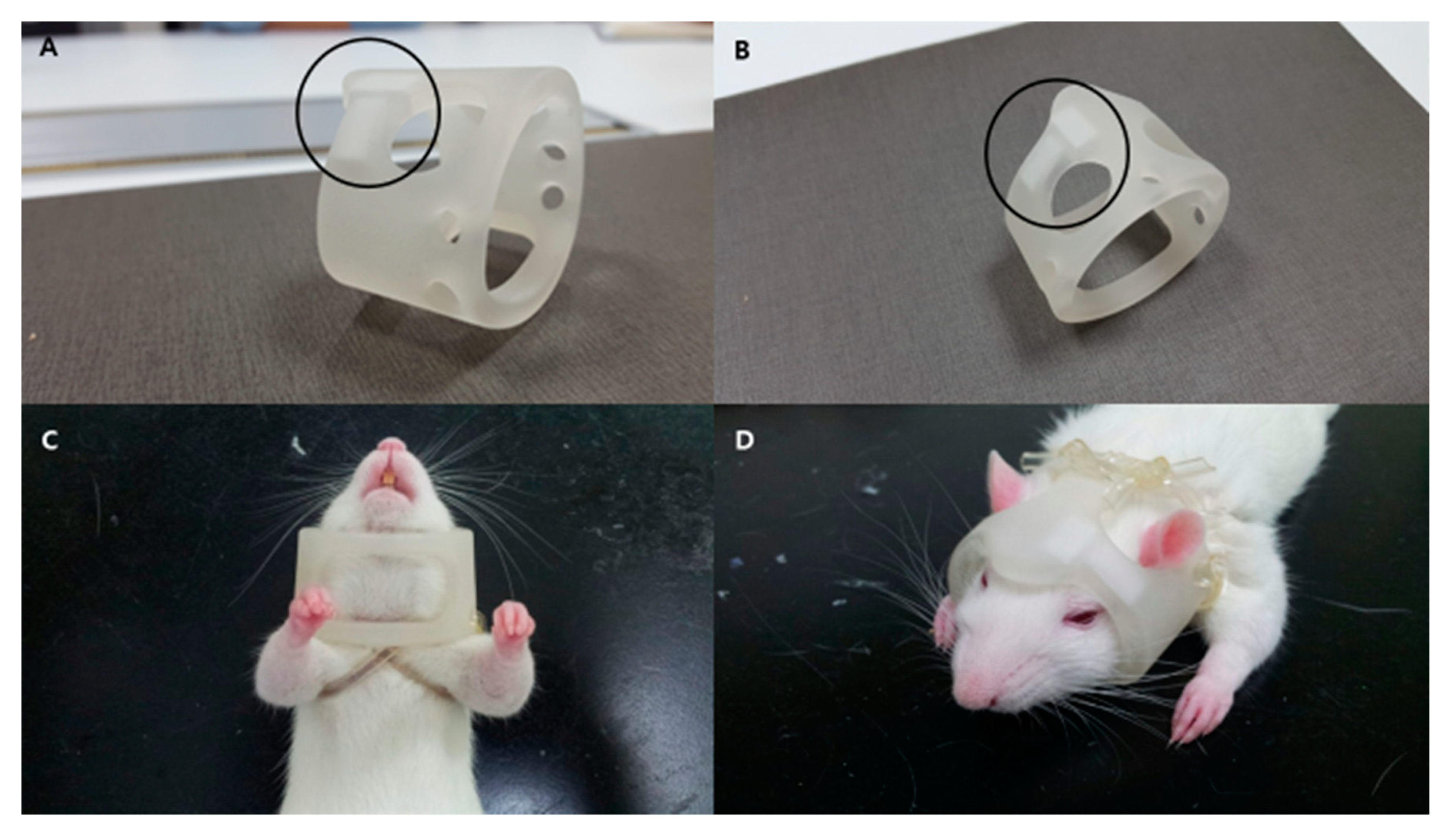 Ijms 21 03658 g011 Ijms 21 03658 g011