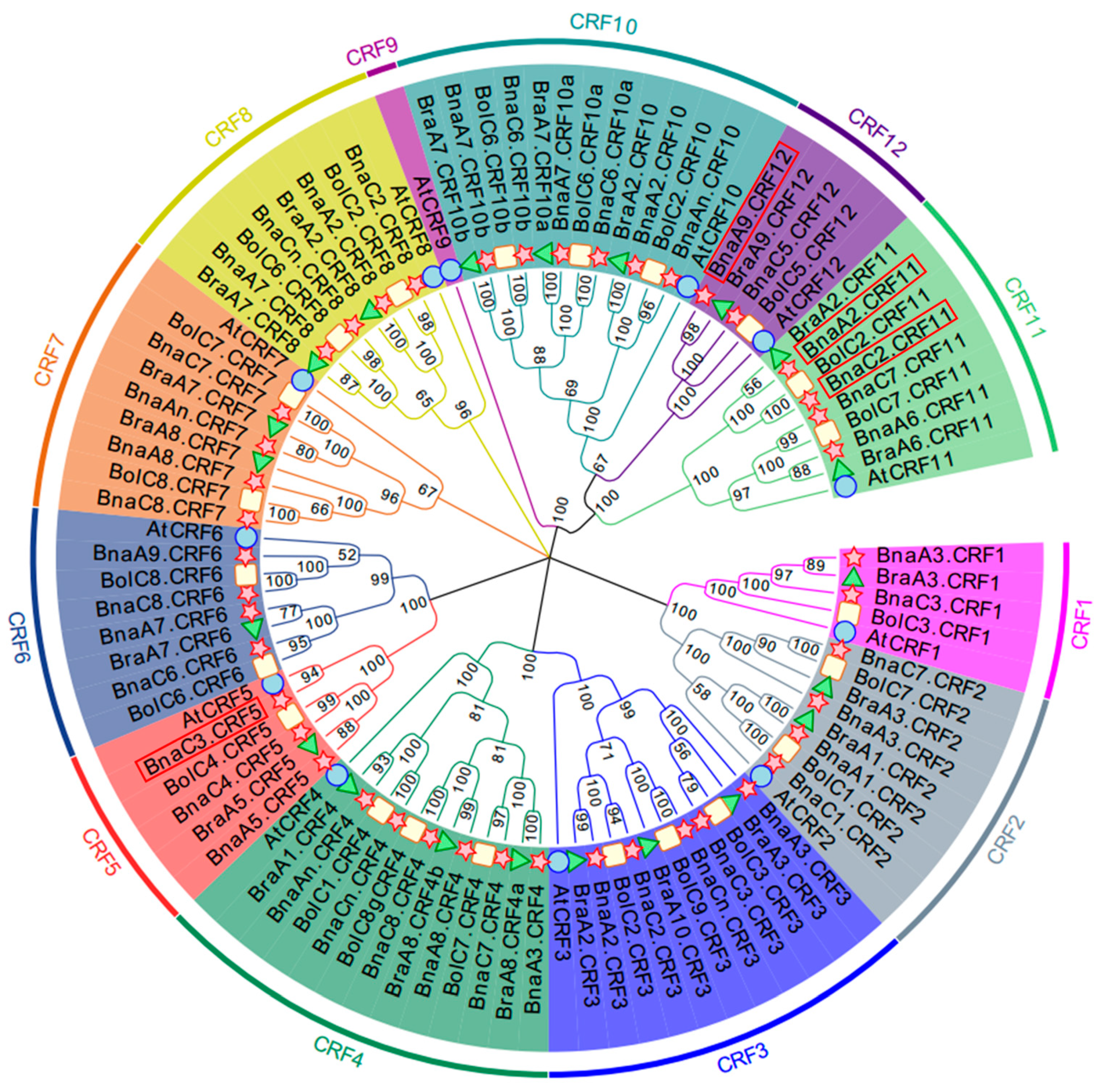 Ijms 21 03660 g001 Ijms 21 03660 g001