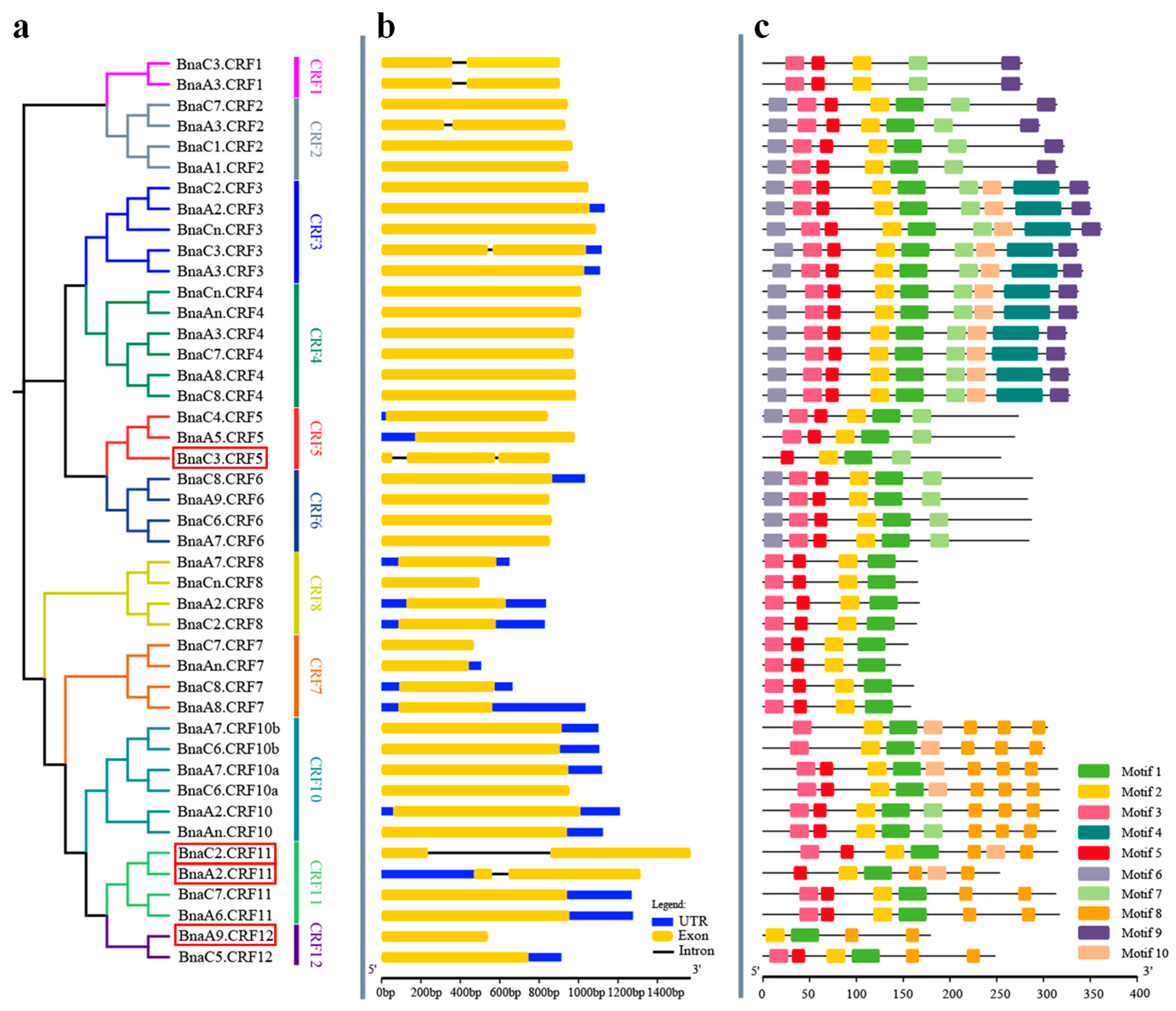 Ijms 21 03660 g002 Ijms 21 03660 g002