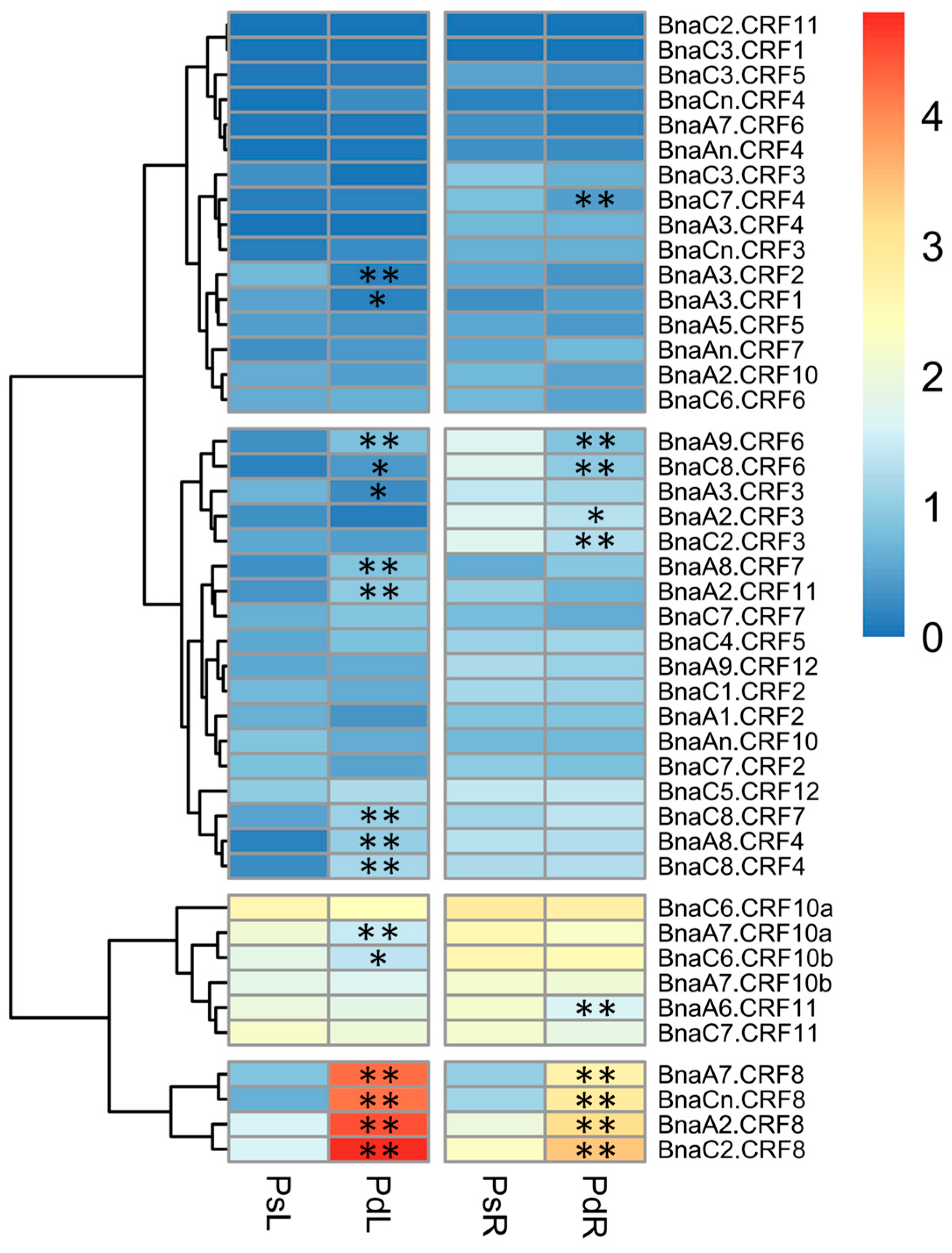 Ijms 21 03660 g003 Ijms 21 03660 g003