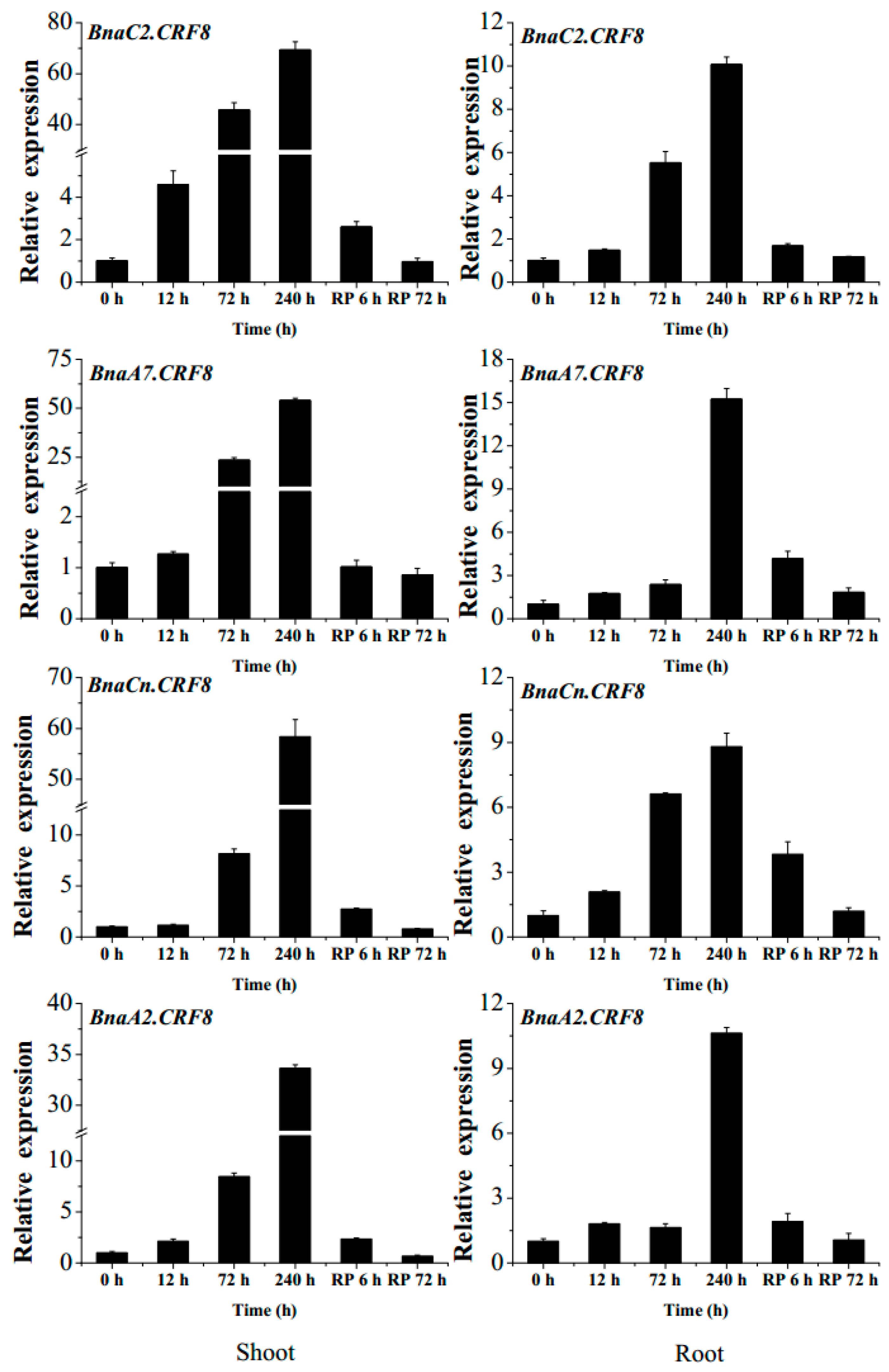 Ijms 21 03660 g004 Ijms 21 03660 g004