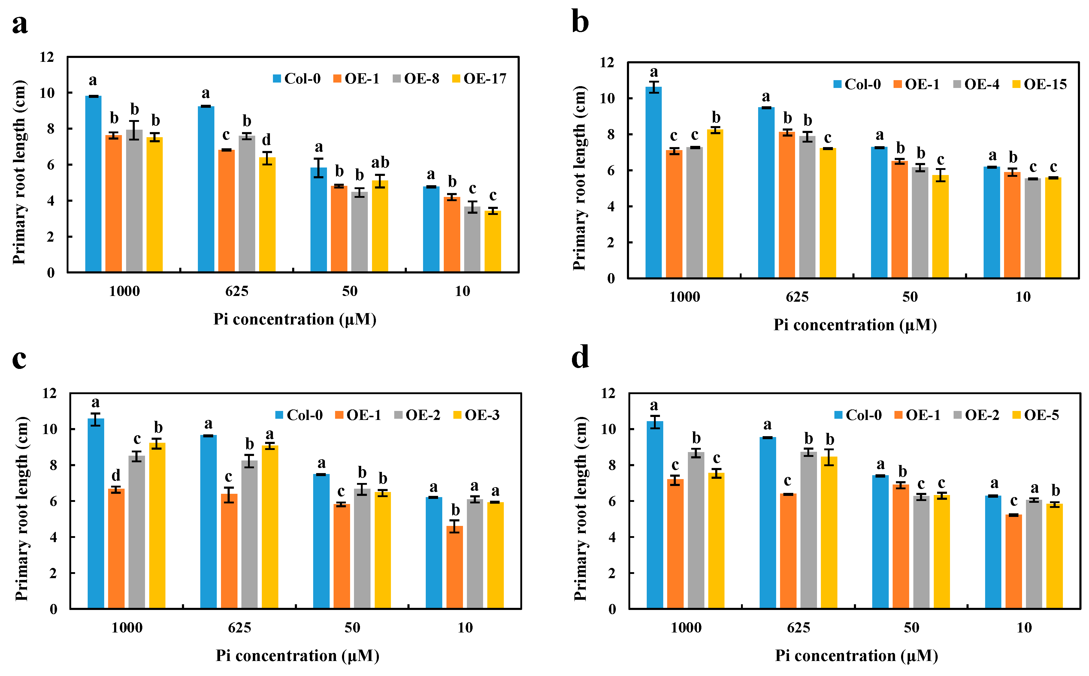 Ijms 21 03660 g006 Ijms 21 03660 g006