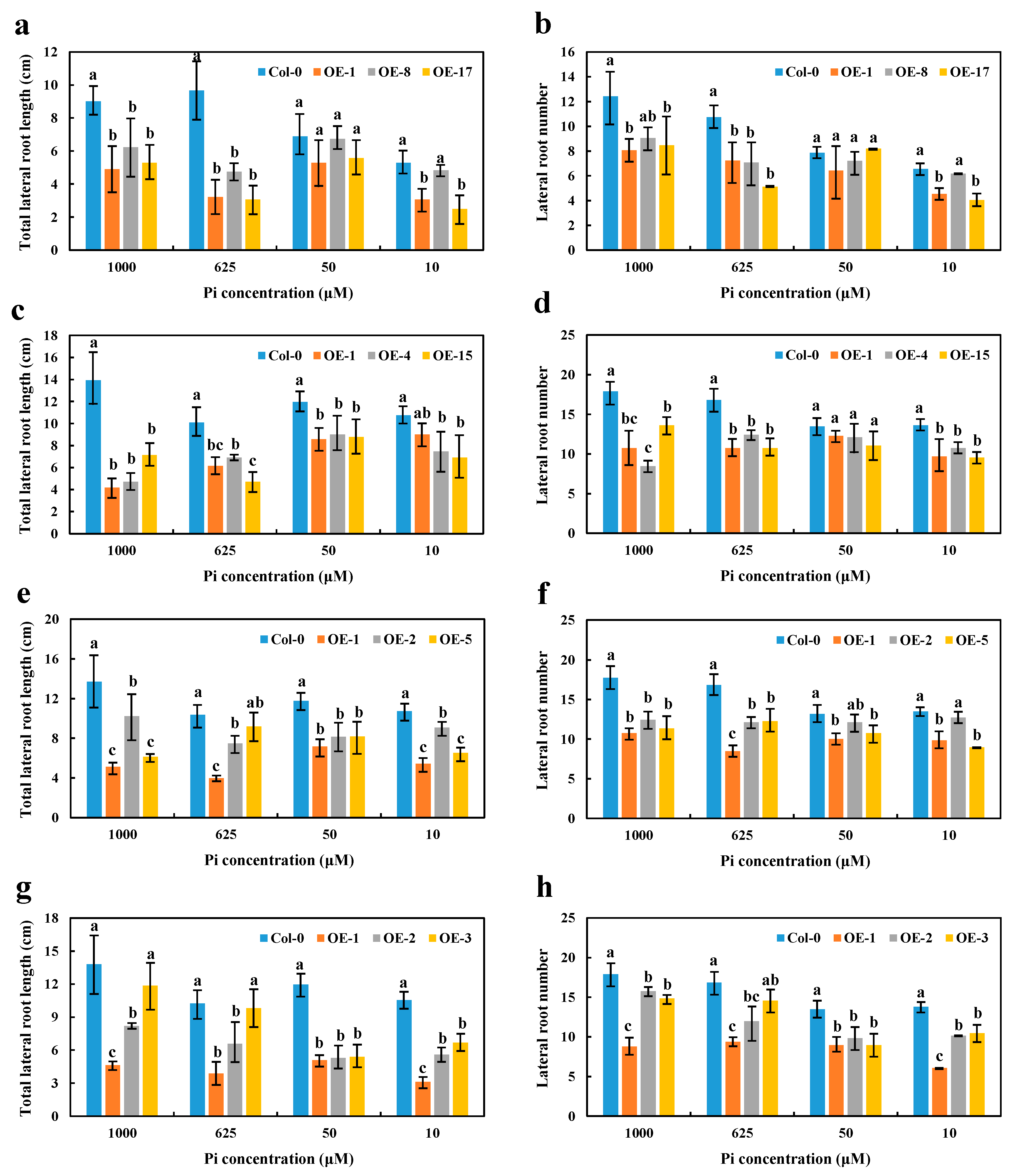 Ijms 21 03660 g007 Ijms 21 03660 g007