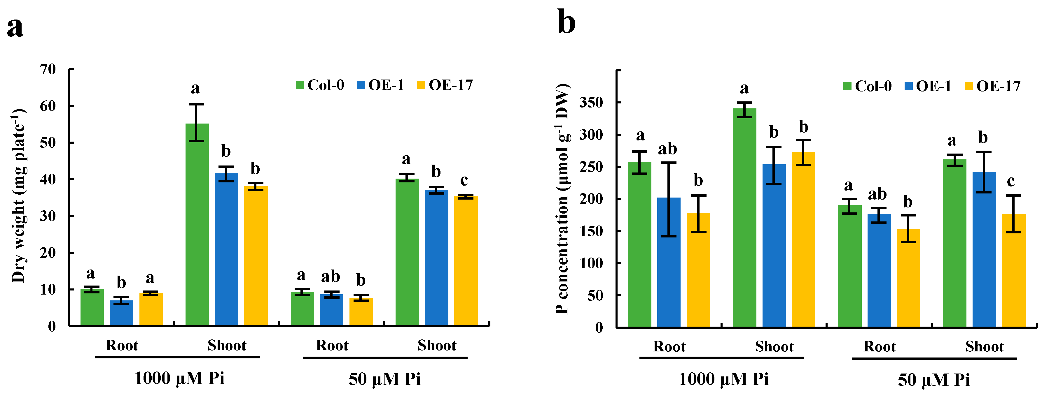 Ijms 21 03660 g008 Ijms 21 03660 g008