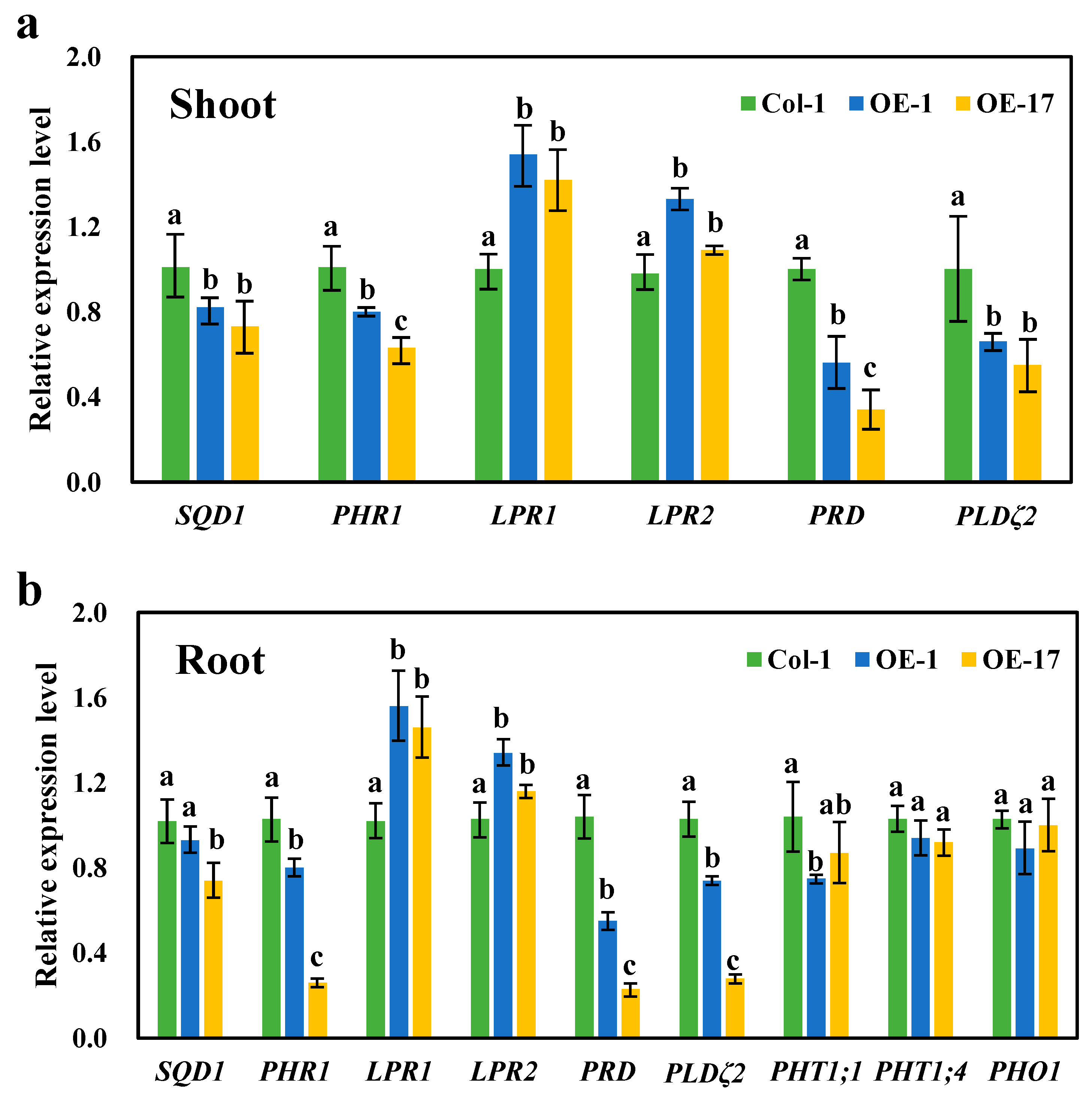 Ijms 21 03660 g009 Ijms 21 03660 g009