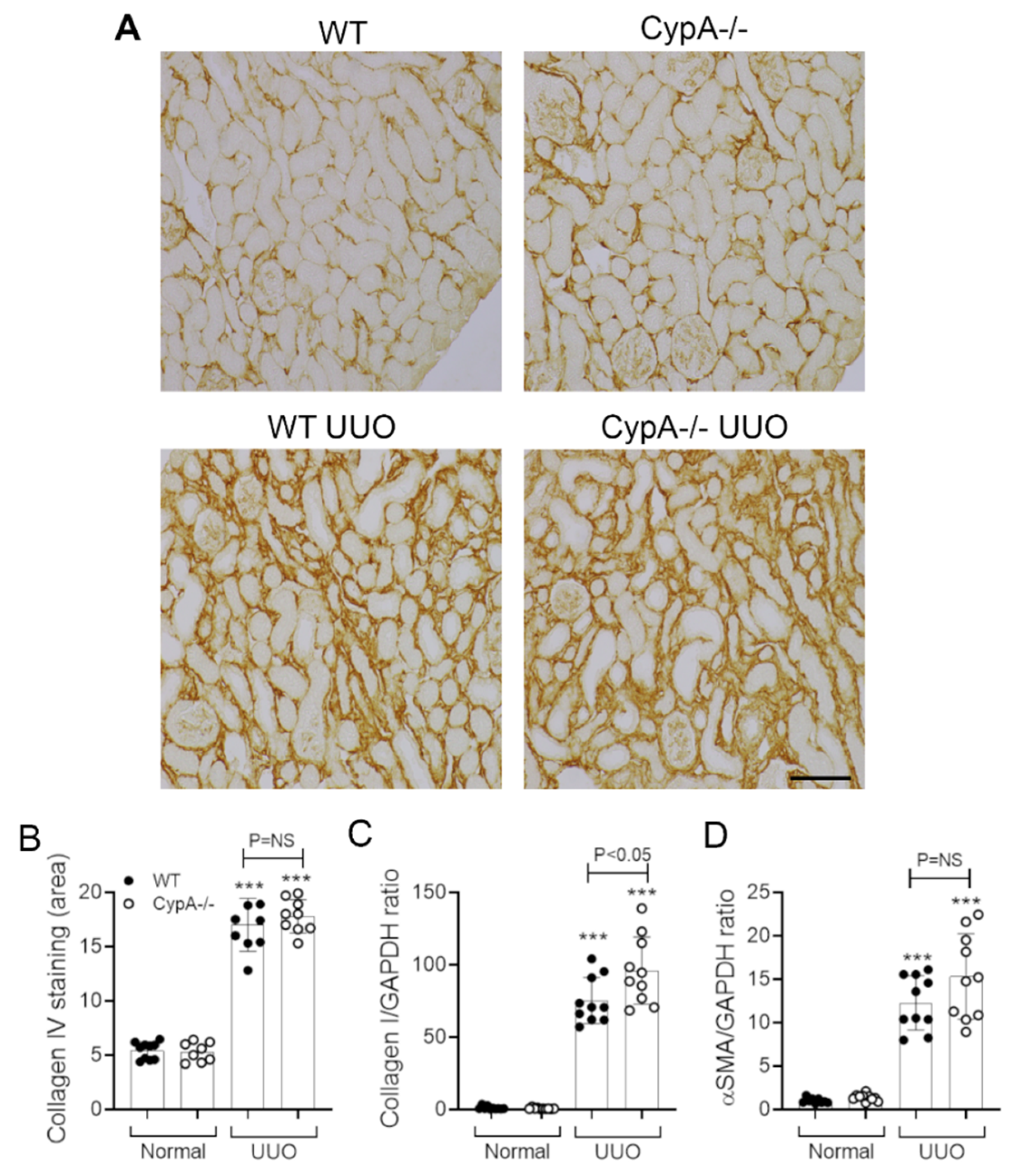 Ijms 21 03667 g007 Ijms 21 03667 g007