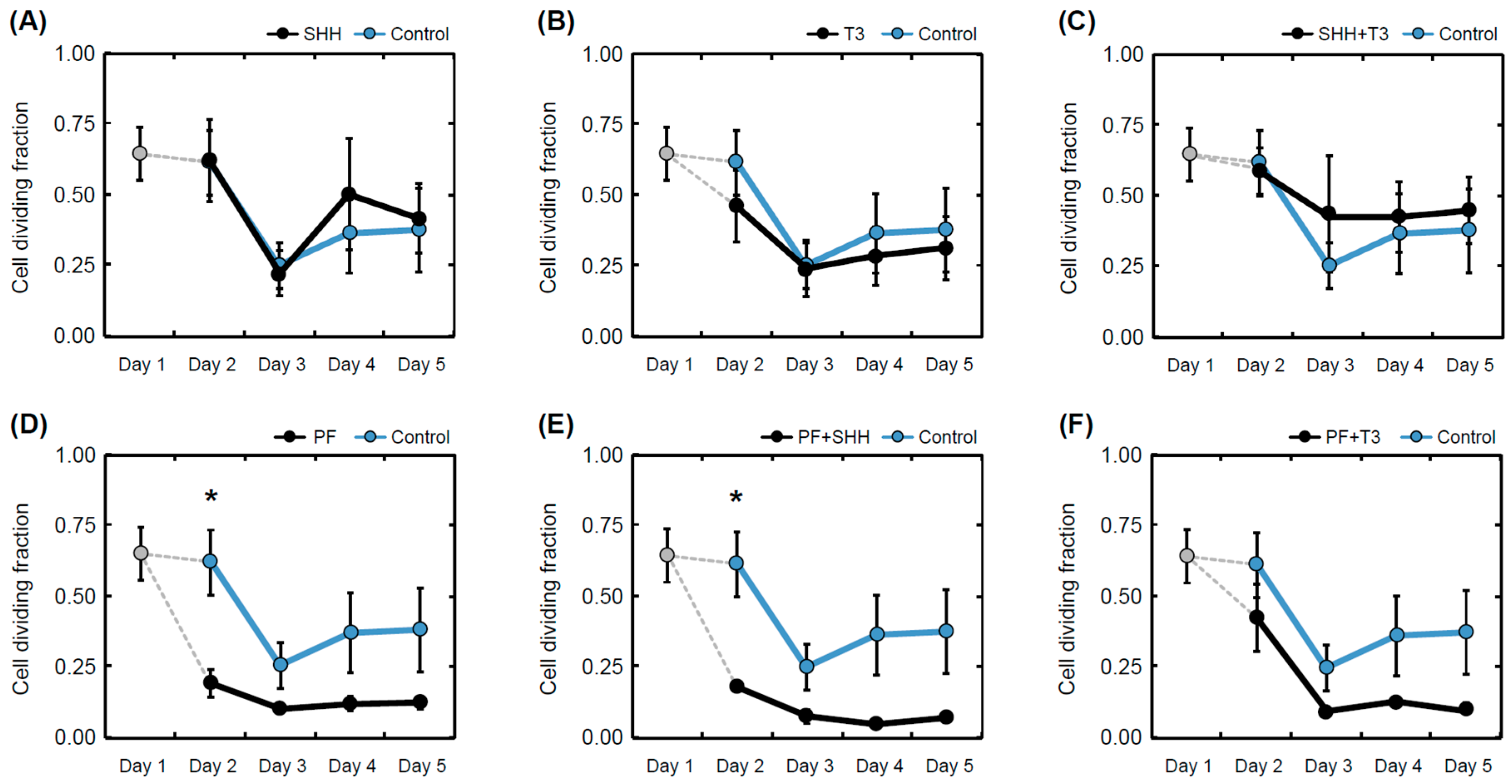 Ijms 21 03672 g004 Ijms 21 03672 g004