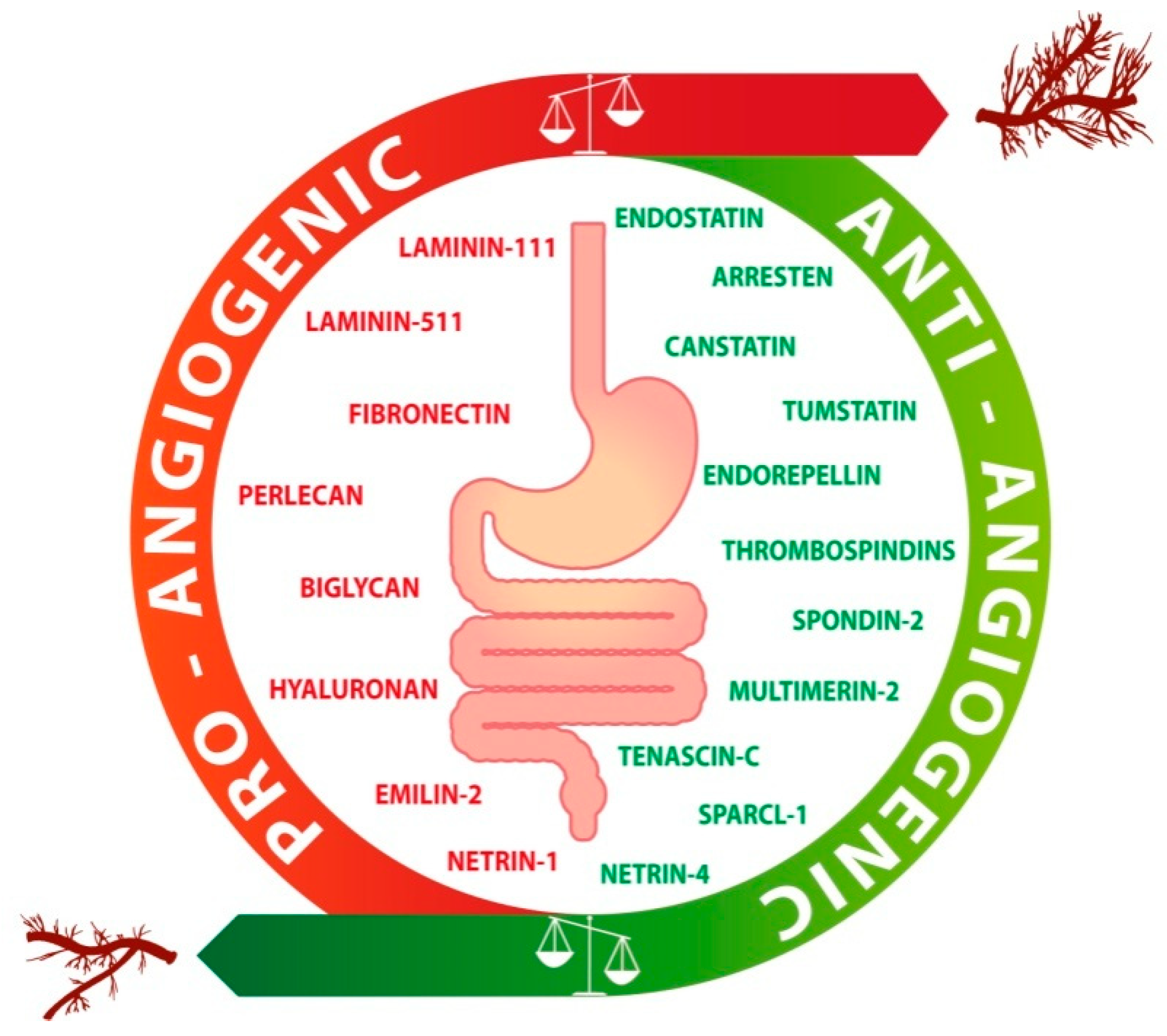 Ijms 21 03686 g001 Ijms 21 03686 g001