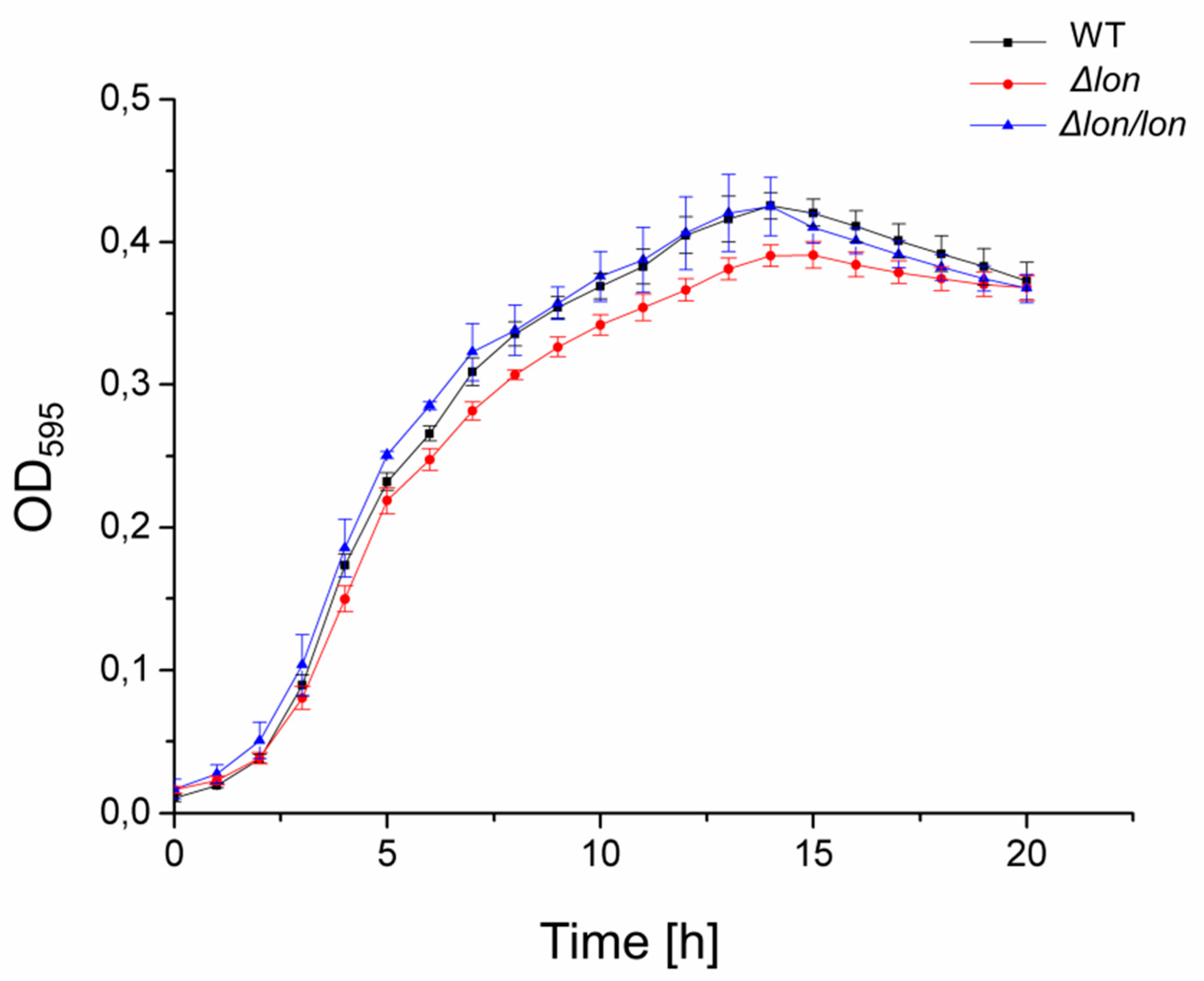 Ijms 21 03687 g002 Ijms 21 03687 g002