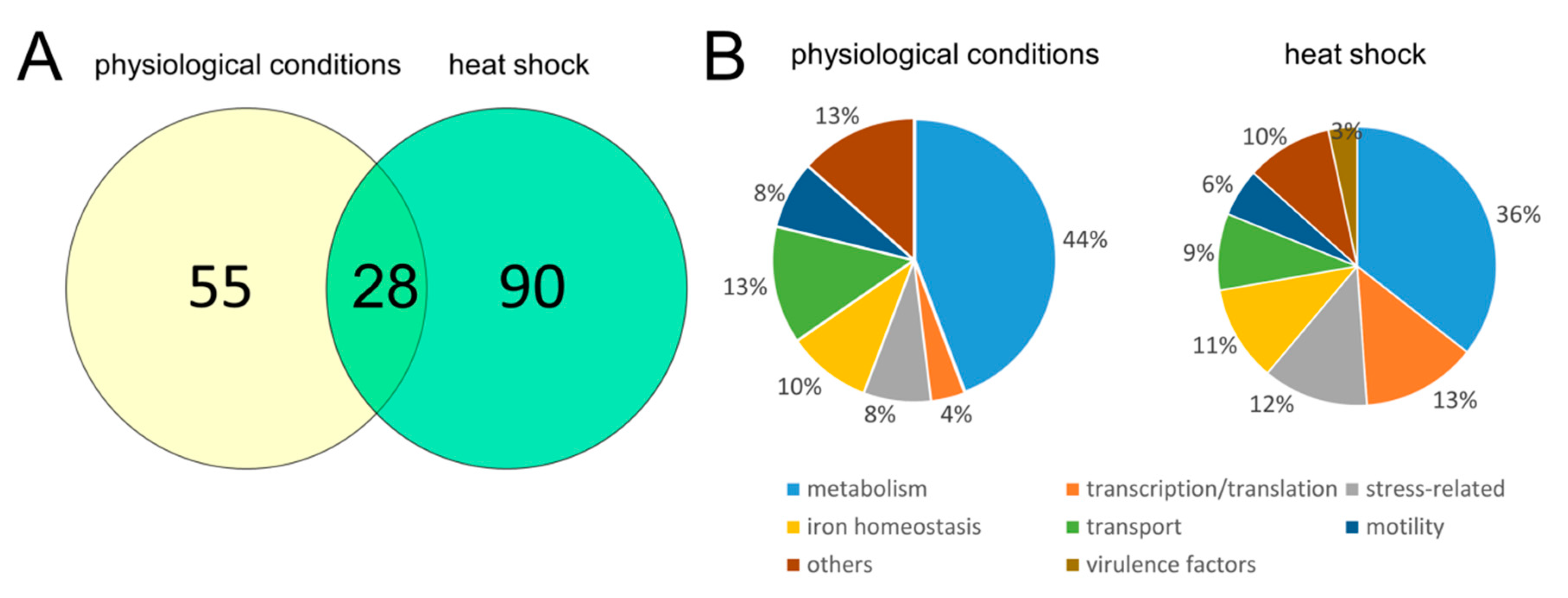 Ijms 21 03687 g008 Ijms 21 03687 g008