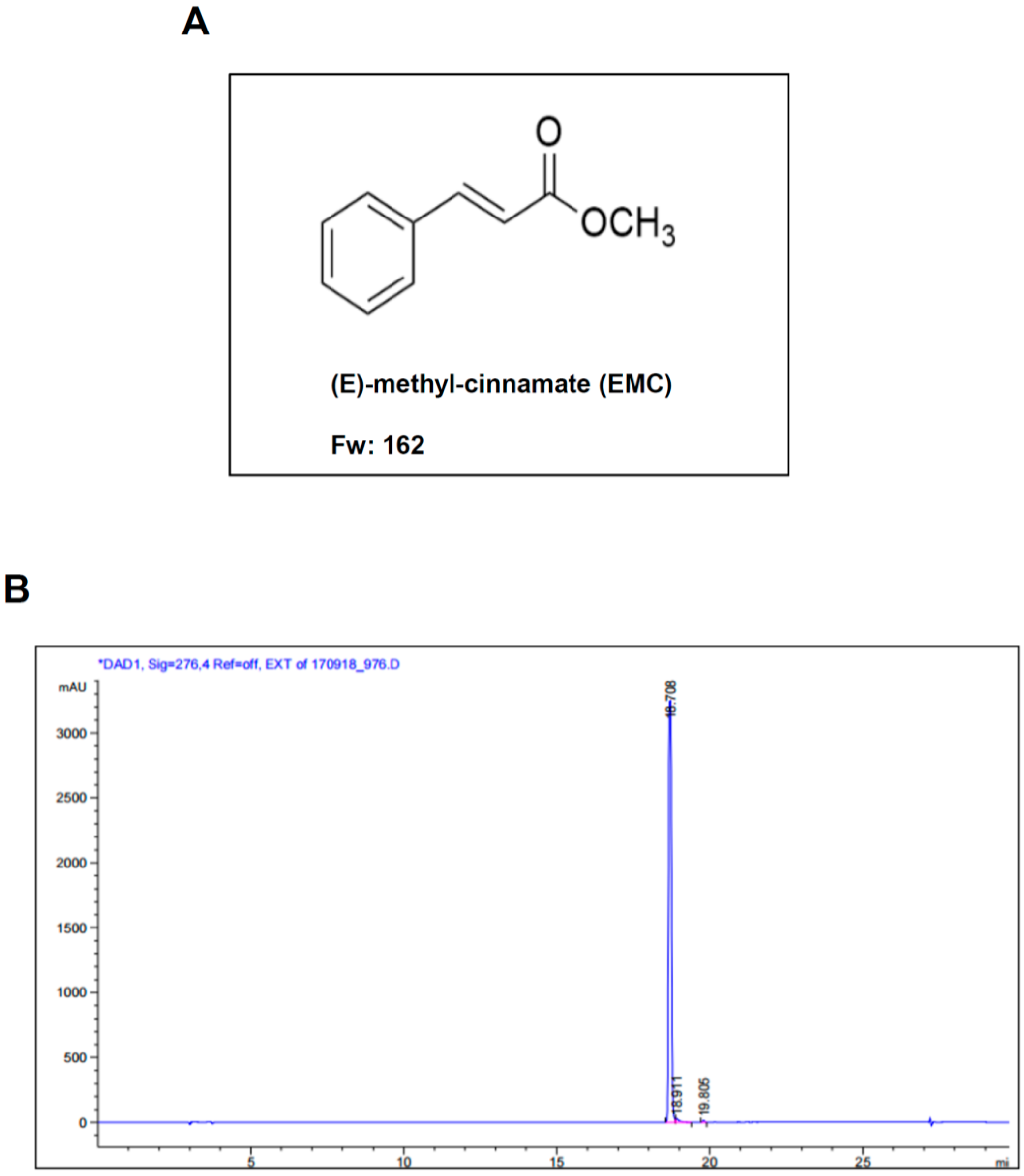 Ijms 21 03700 g001 Ijms 21 03700 g001
