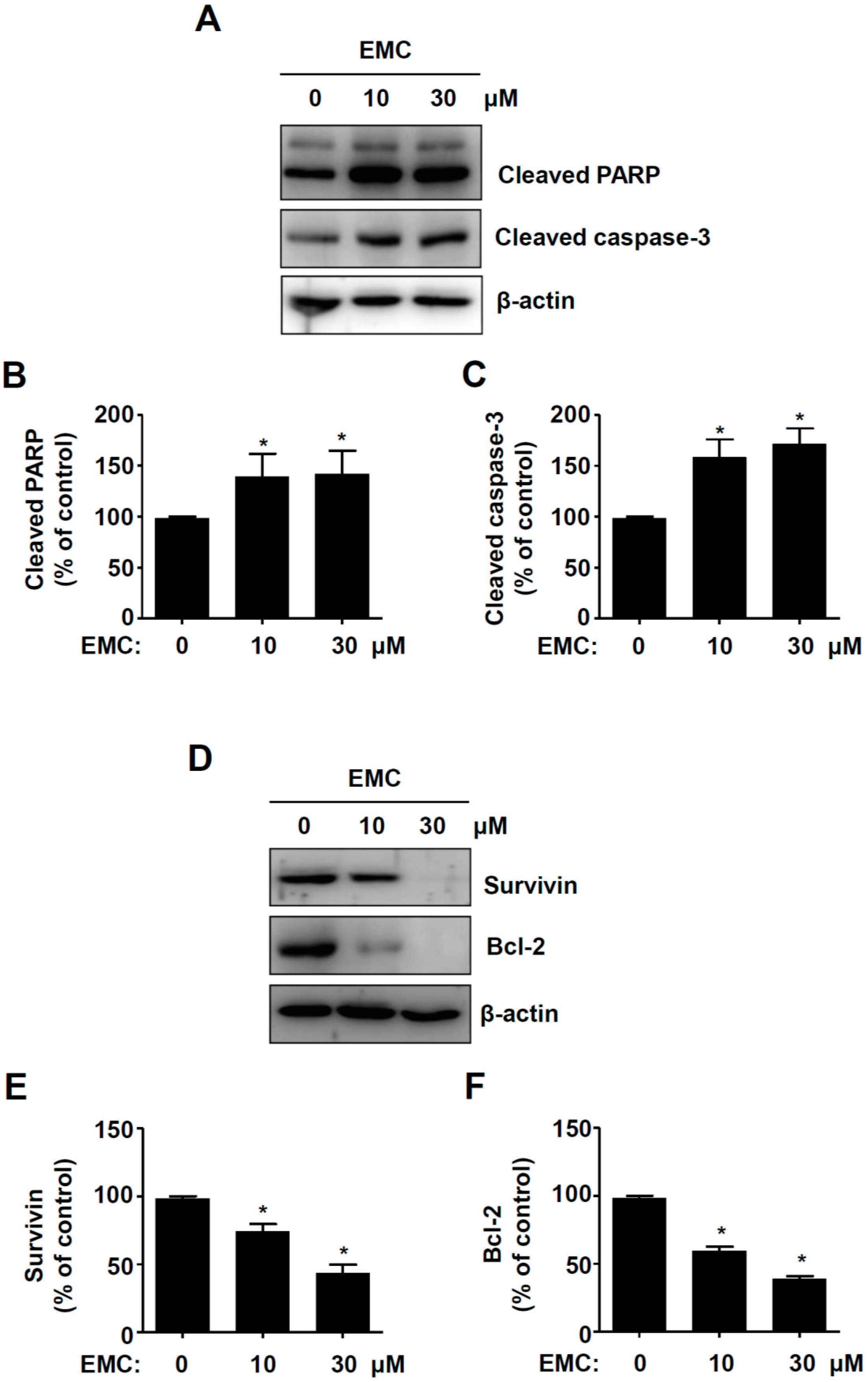 Ijms 21 03700 g003 Ijms 21 03700 g003