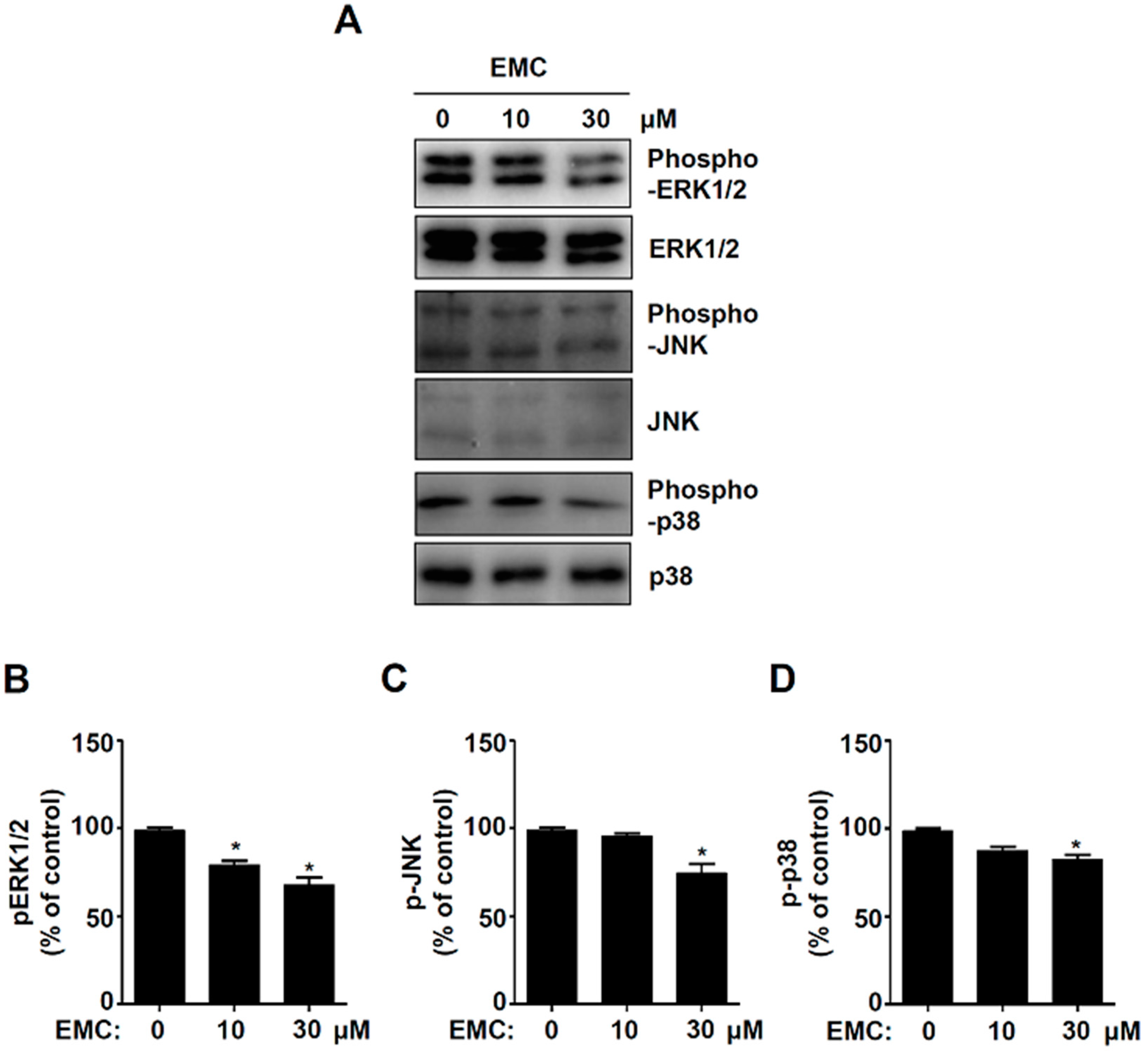 Ijms 21 03700 g005 Ijms 21 03700 g005