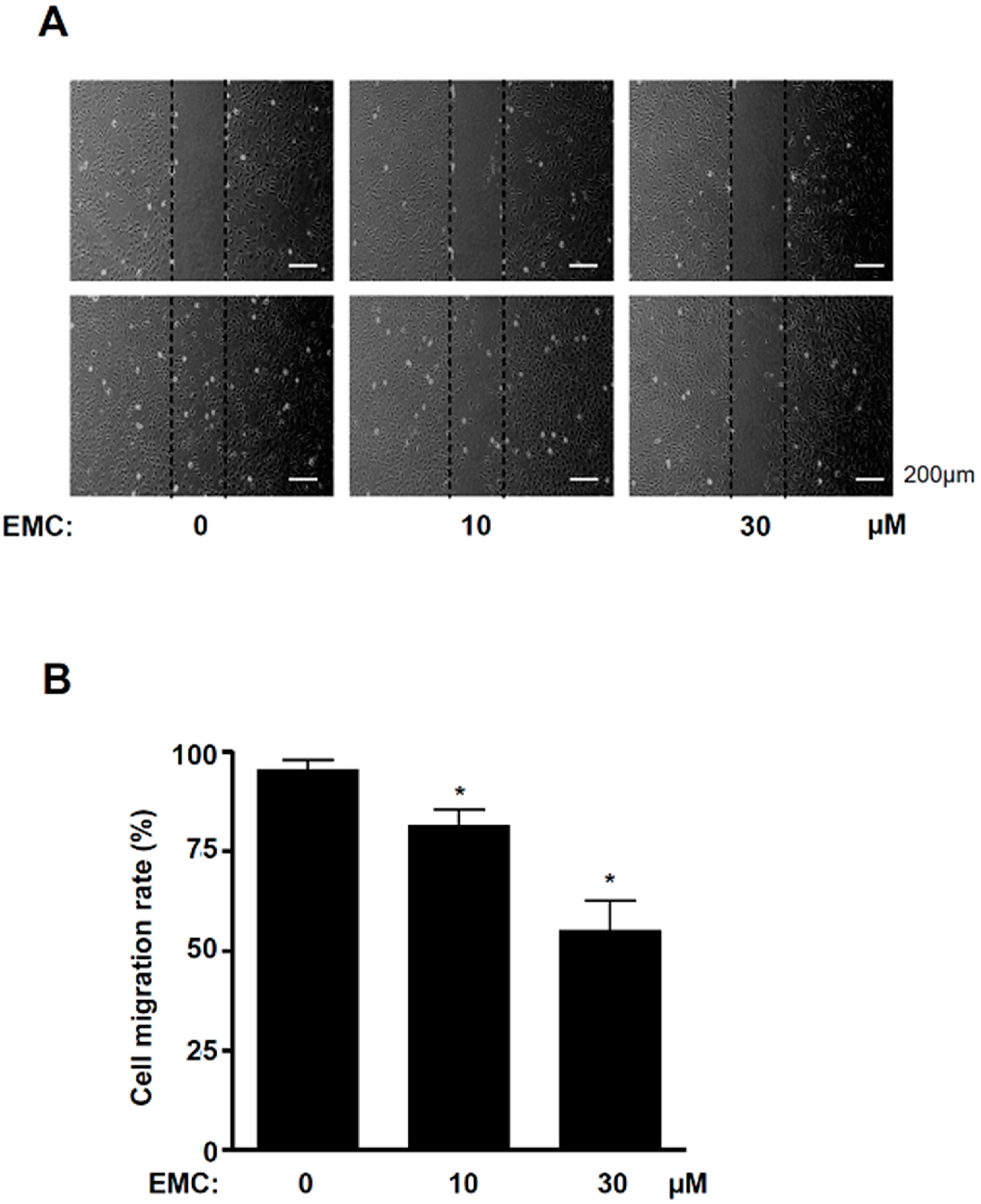 Ijms 21 03700 g006 Ijms 21 03700 g006