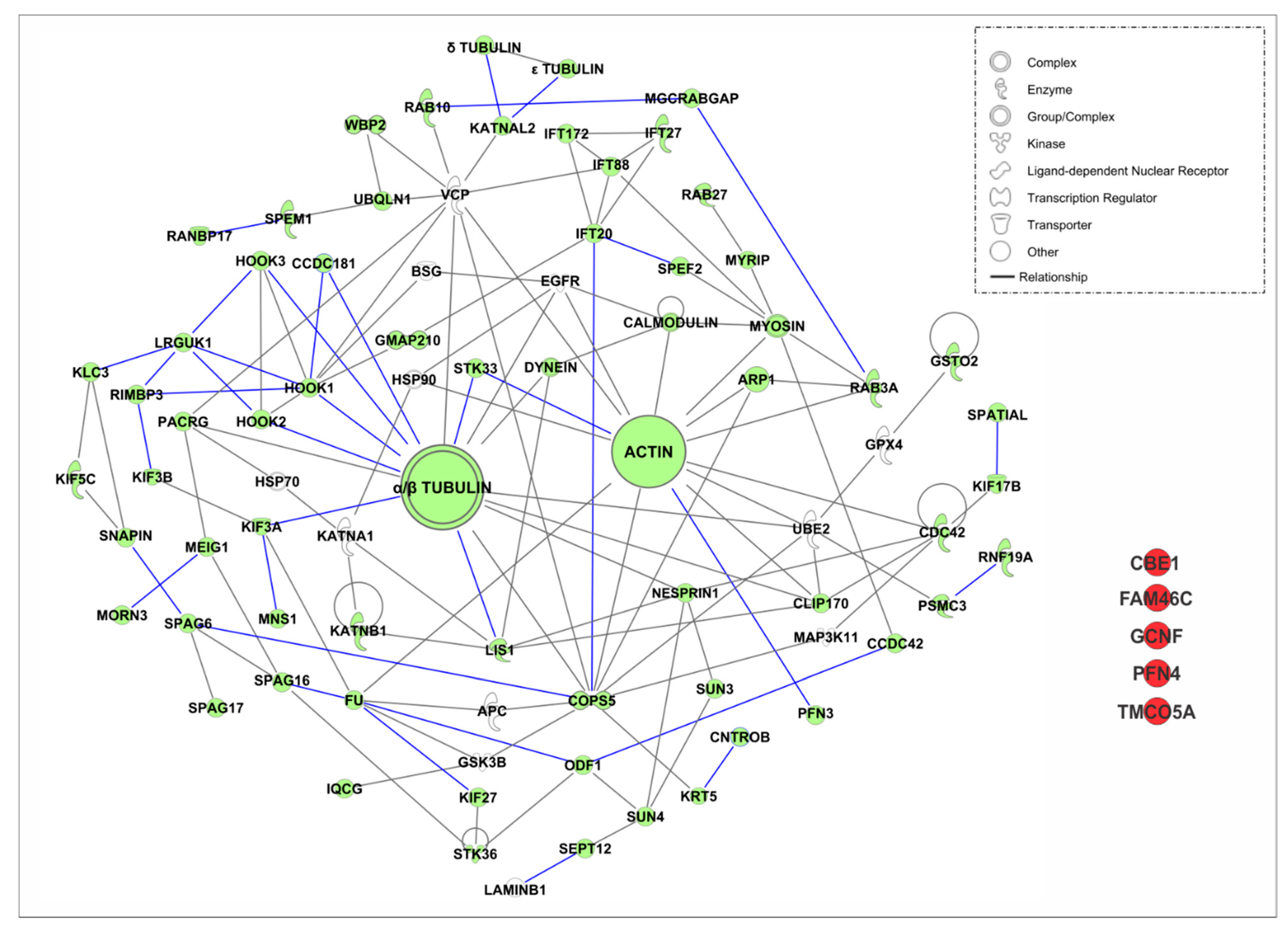 Ijms 21 03702 g004 Ijms 21 03702 g004