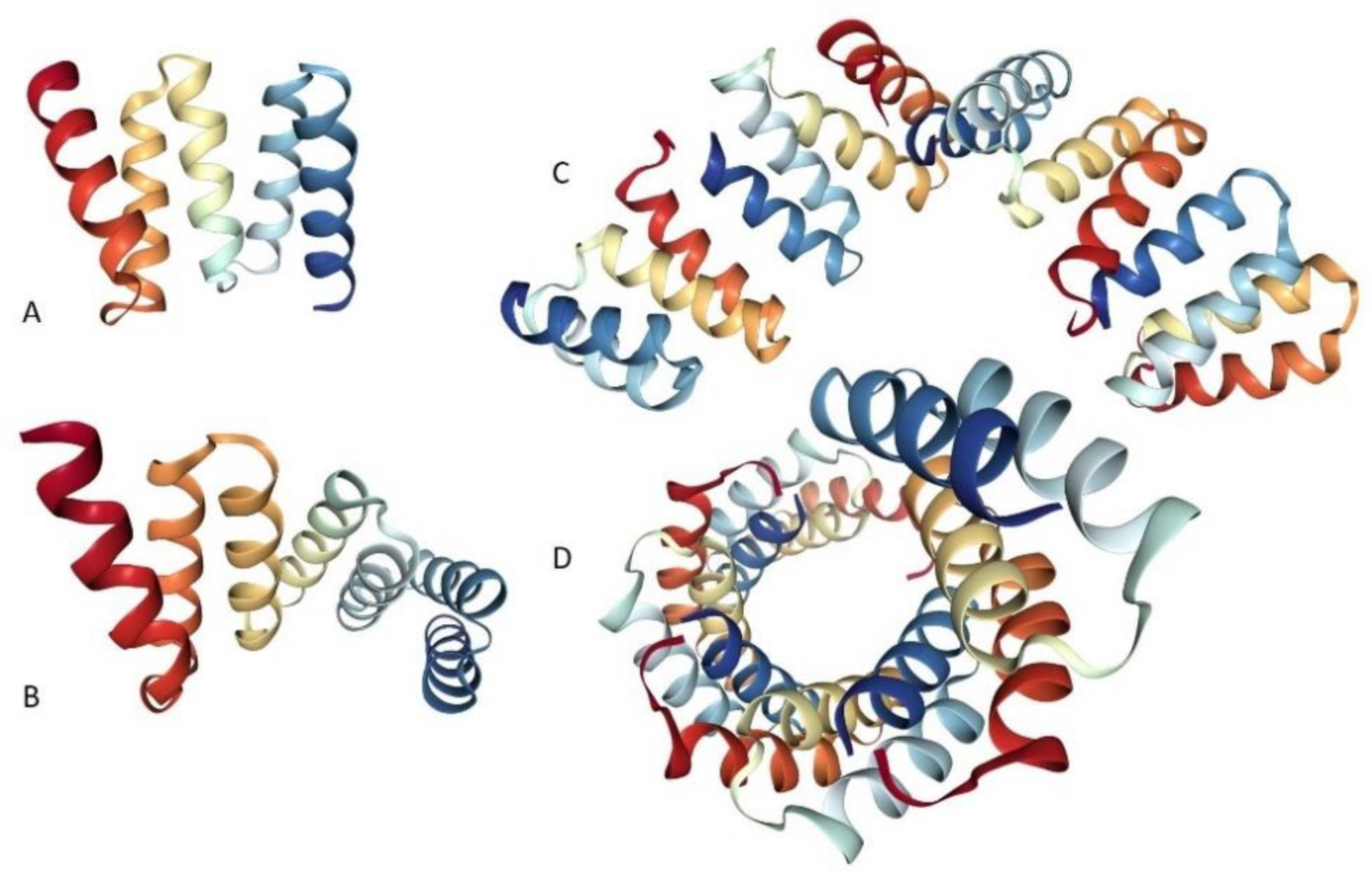 Ijms 21 03709 g001 Ijms 21 03709 g001