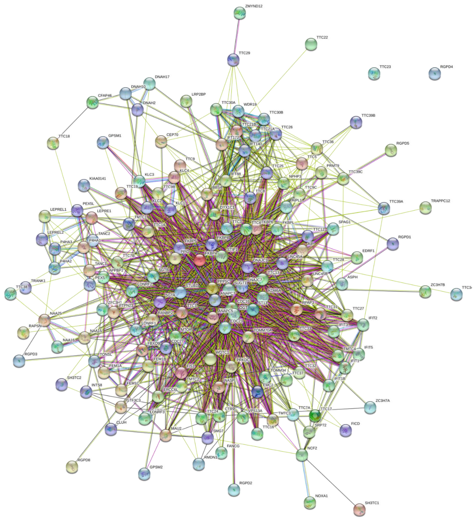 Ijms 21 03709 g009 Ijms 21 03709 g009