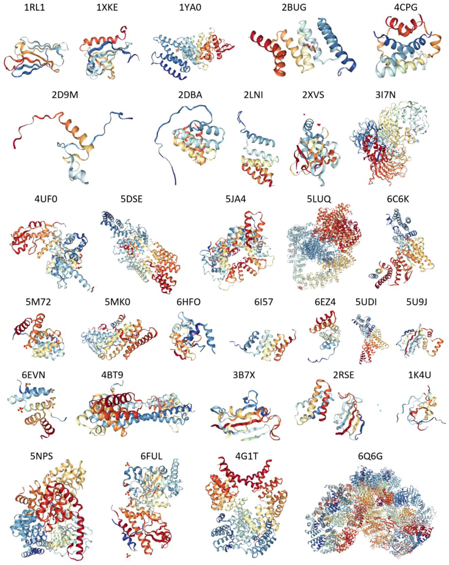 Ijms 21 03709 g012a Ijms 21 03709 g012a