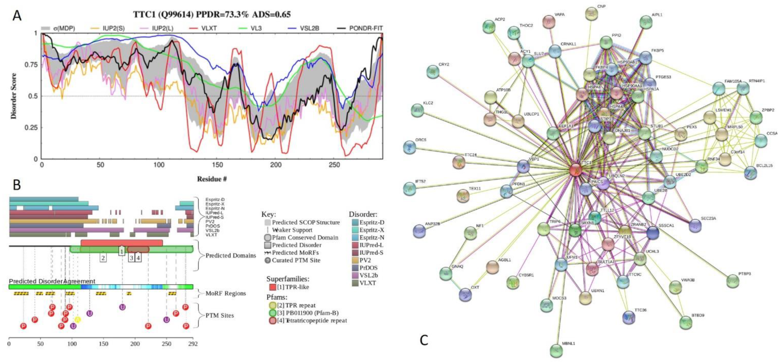 Ijms 21 03709 g014 Ijms 21 03709 g014