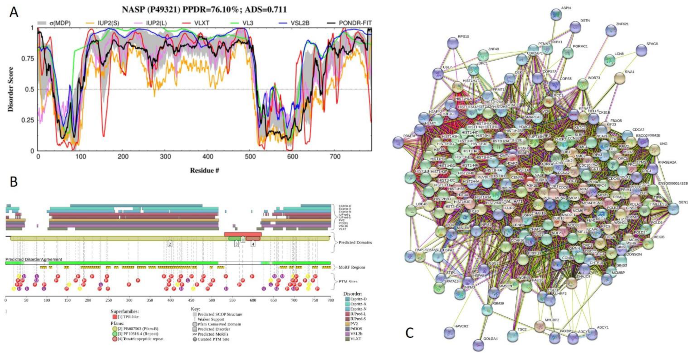 Ijms 21 03709 g016 Ijms 21 03709 g016