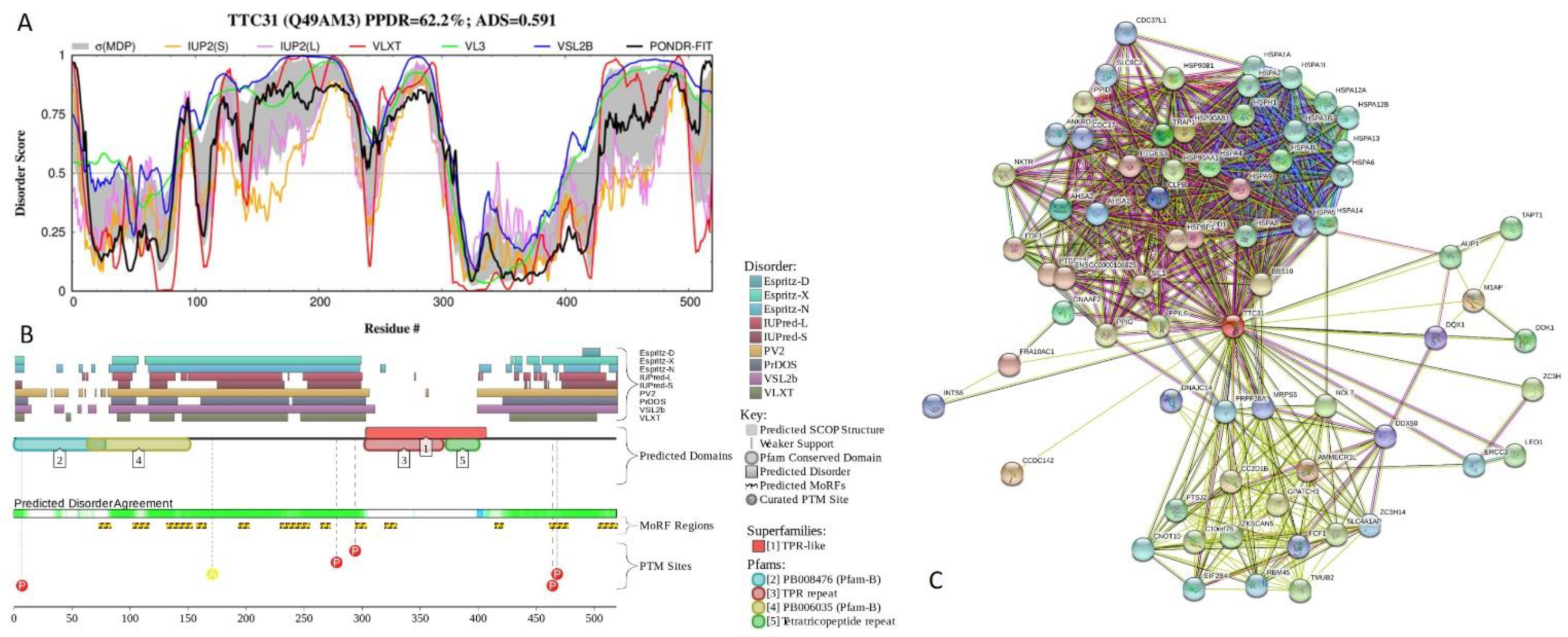 Ijms 21 03709 g017 Ijms 21 03709 g017