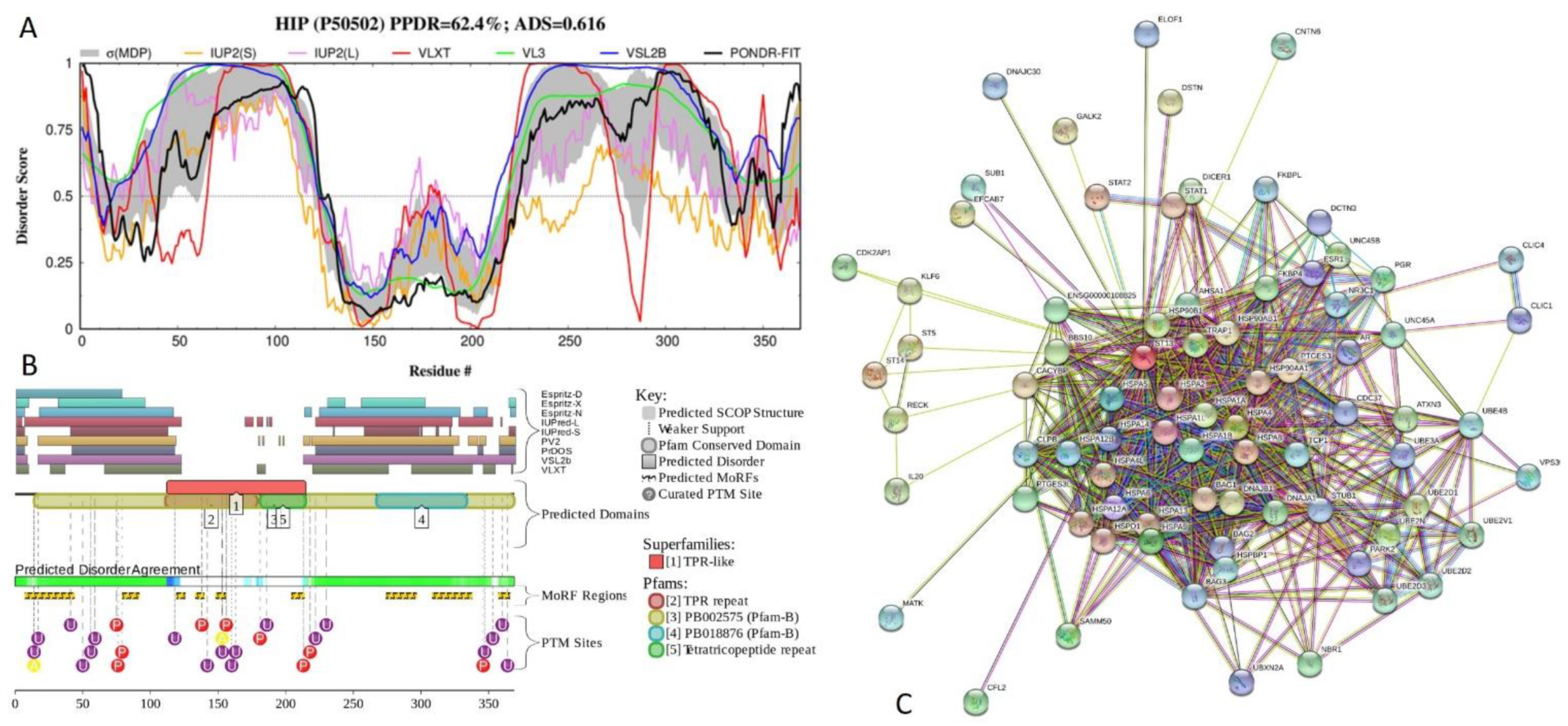 Ijms 21 03709 g018 Ijms 21 03709 g018