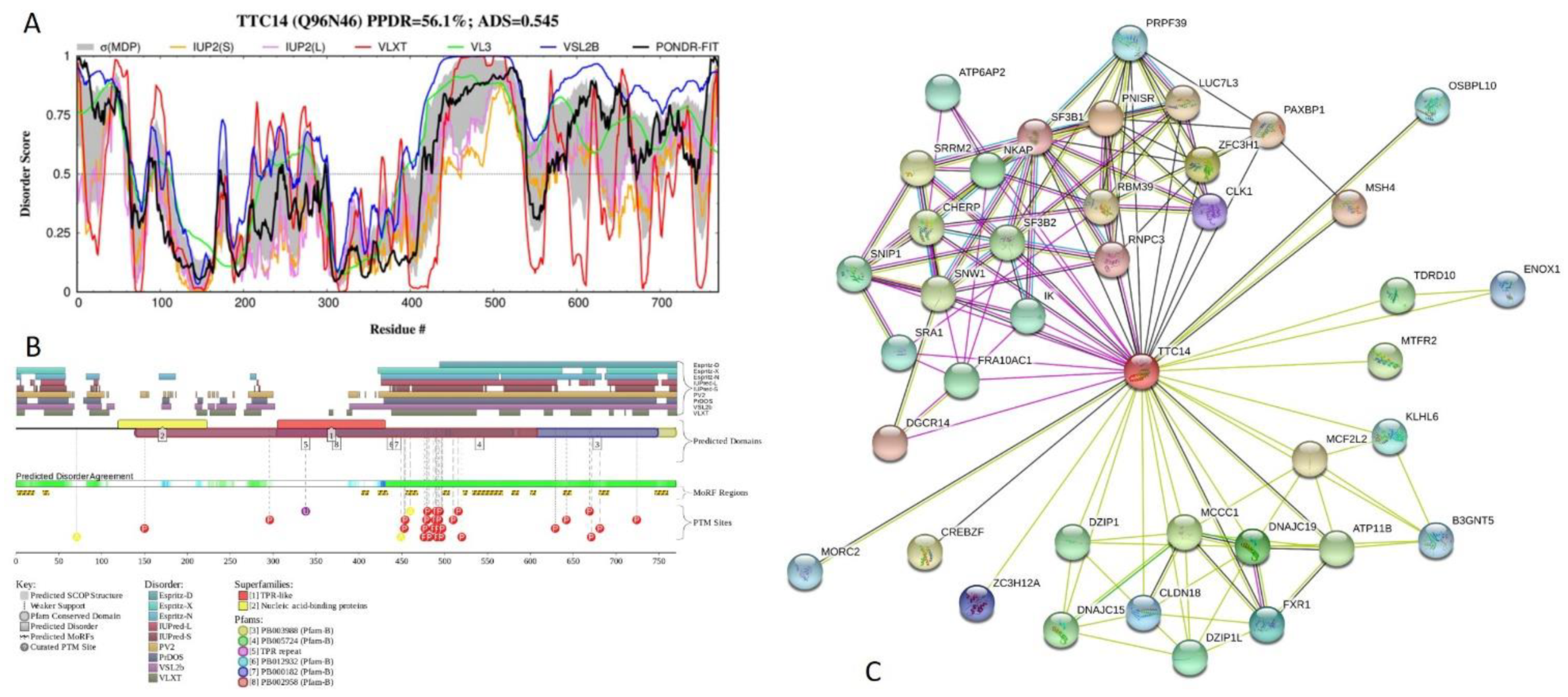 Ijms 21 03709 g019 Ijms 21 03709 g019