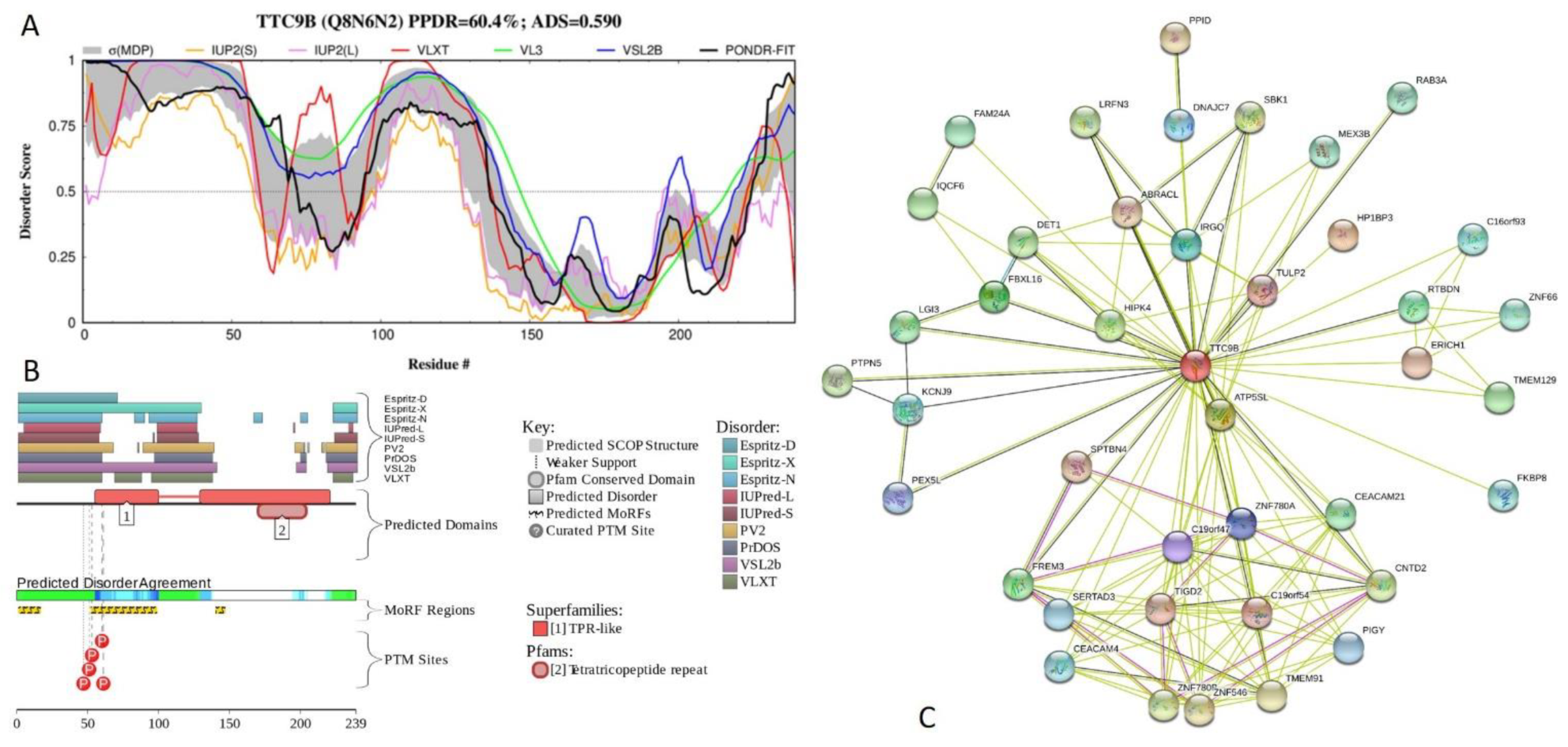 Ijms 21 03709 g020 Ijms 21 03709 g020