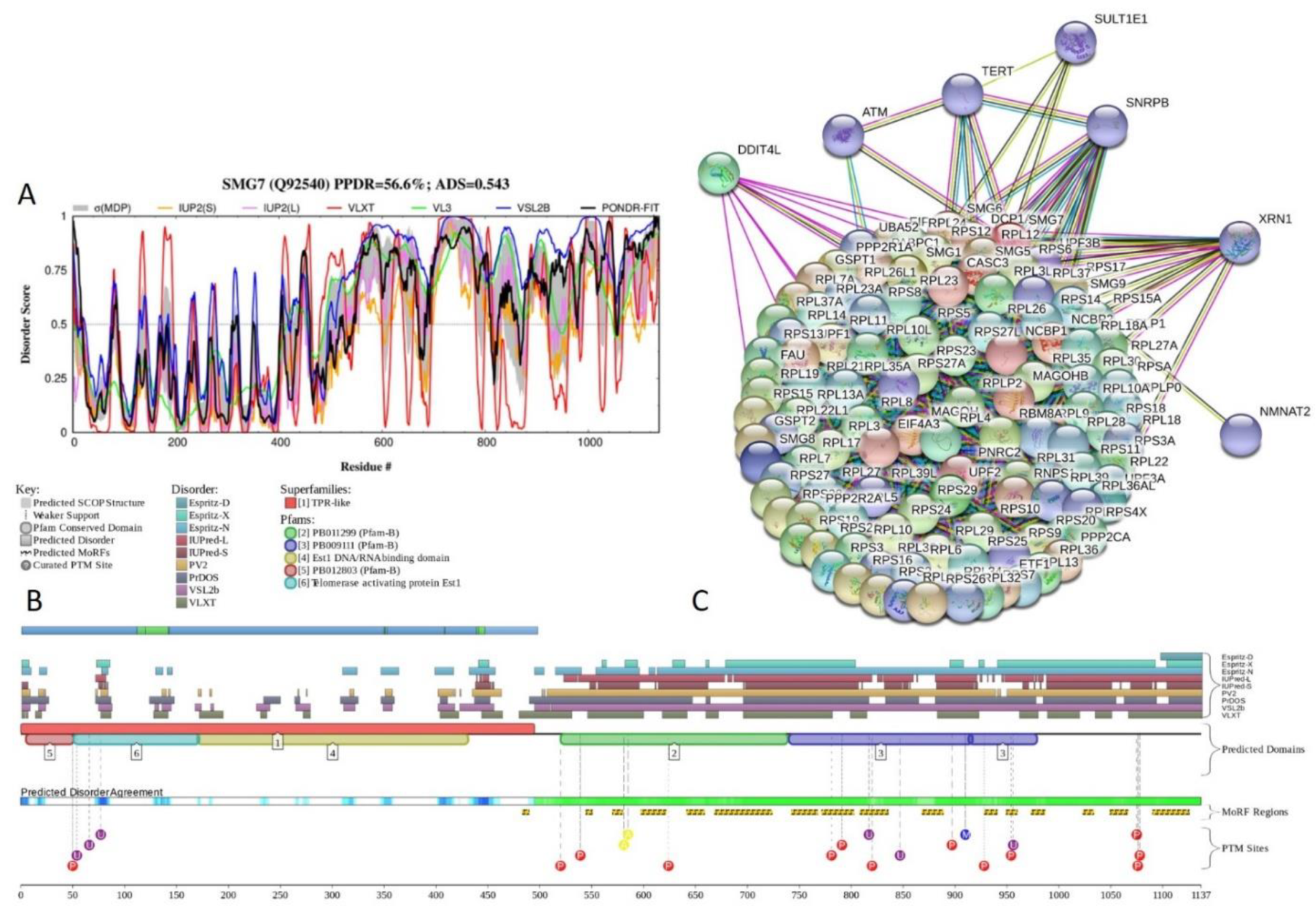 Ijms 21 03709 g021 Ijms 21 03709 g021