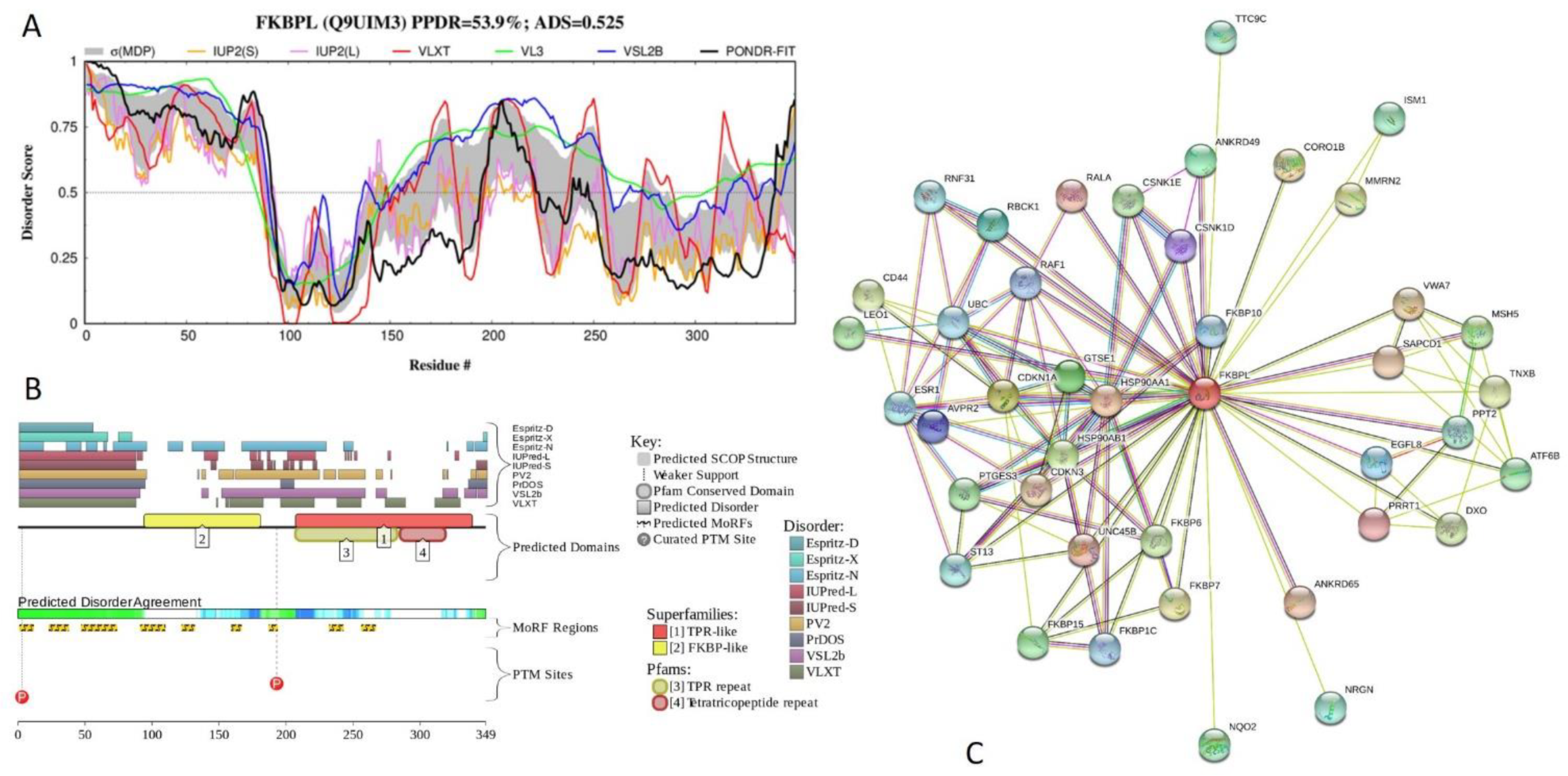 Ijms 21 03709 g022 Ijms 21 03709 g022