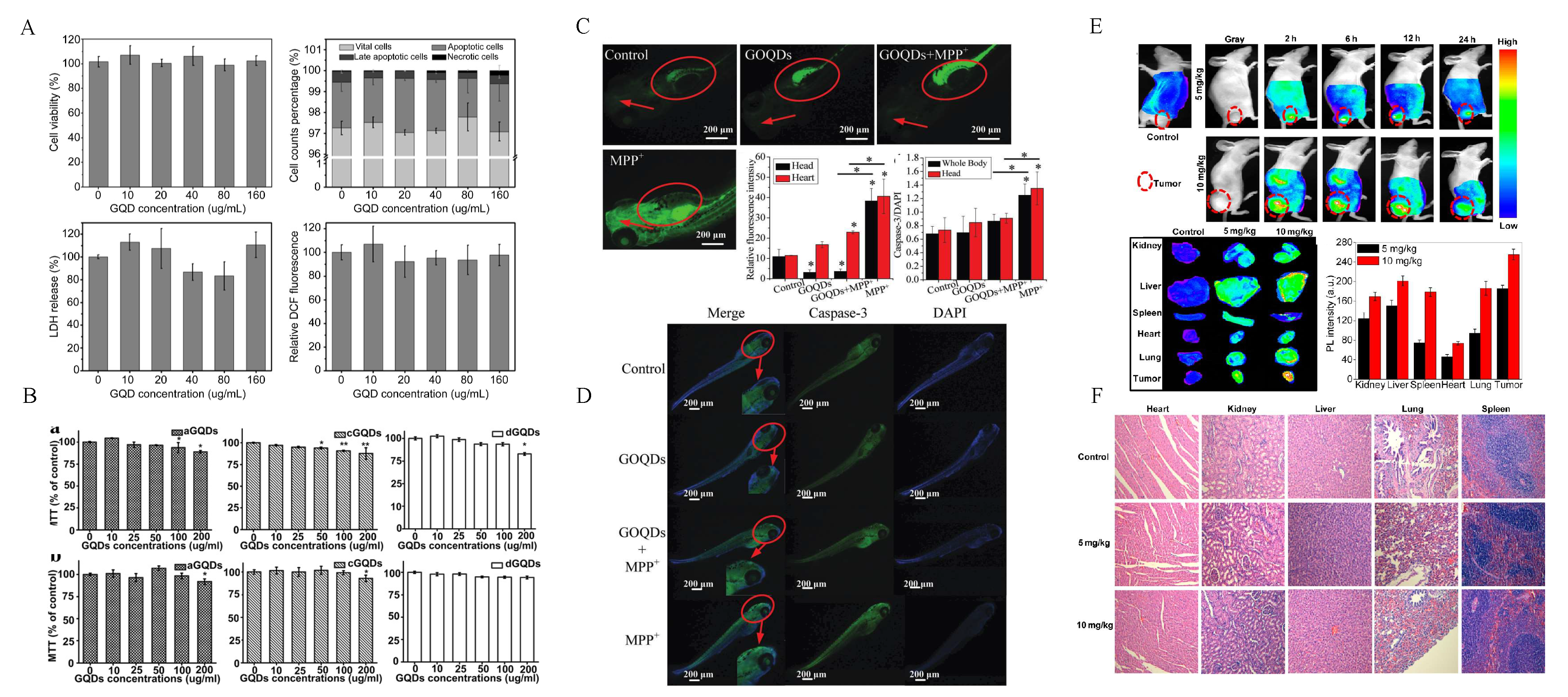 Ijms 21 03712 g003 Ijms 21 03712 g003