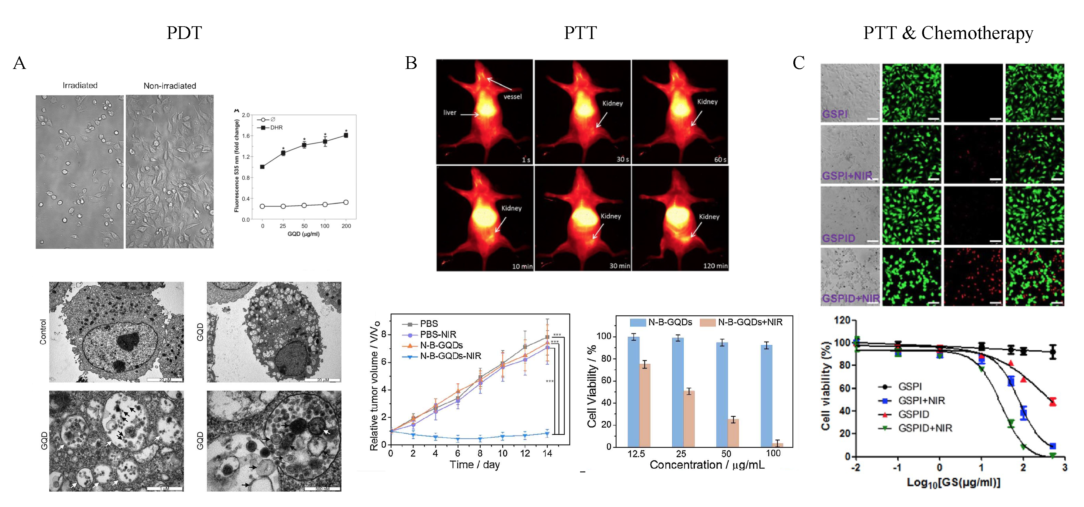 Ijms 21 03712 g006 Ijms 21 03712 g006