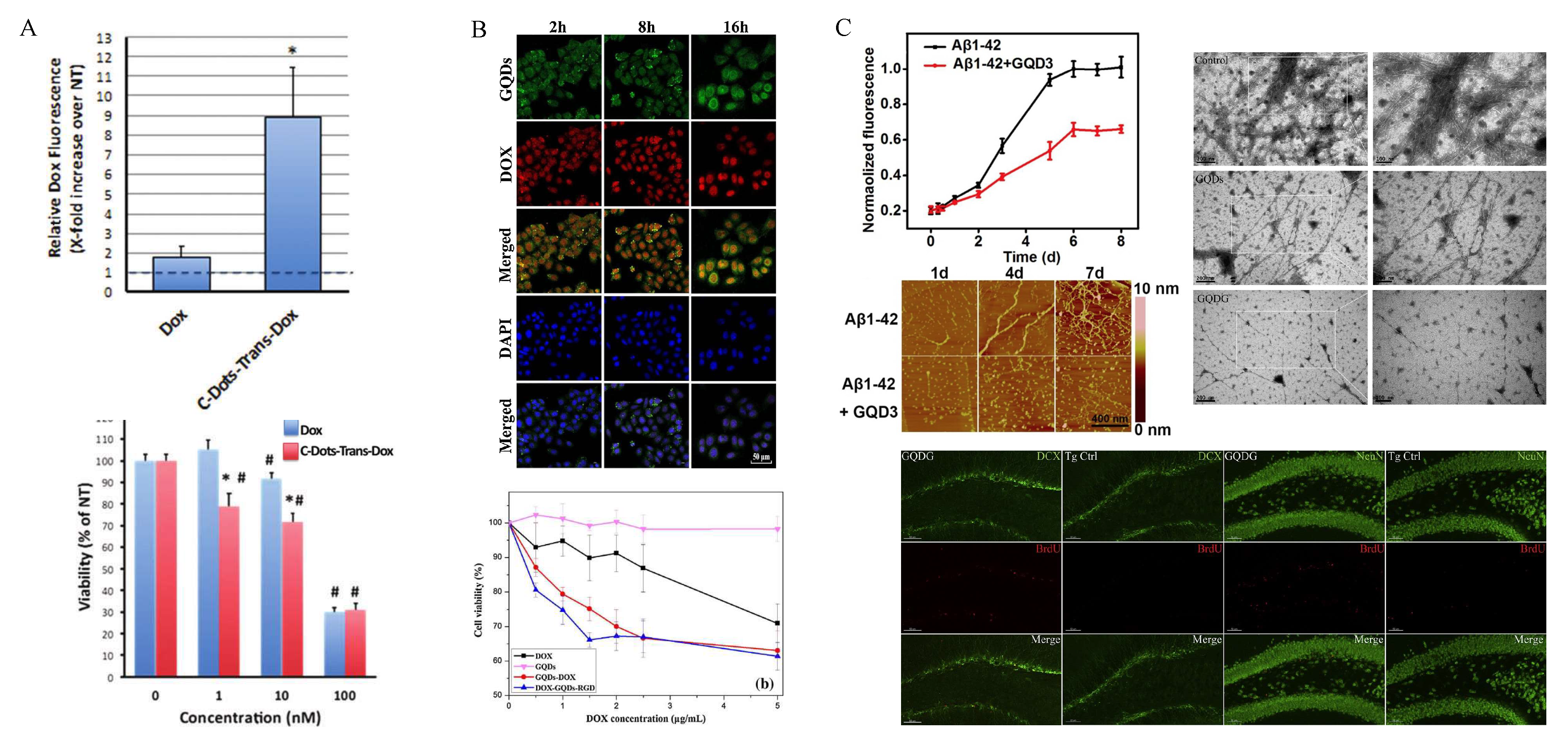 Ijms 21 03712 g007 Ijms 21 03712 g007