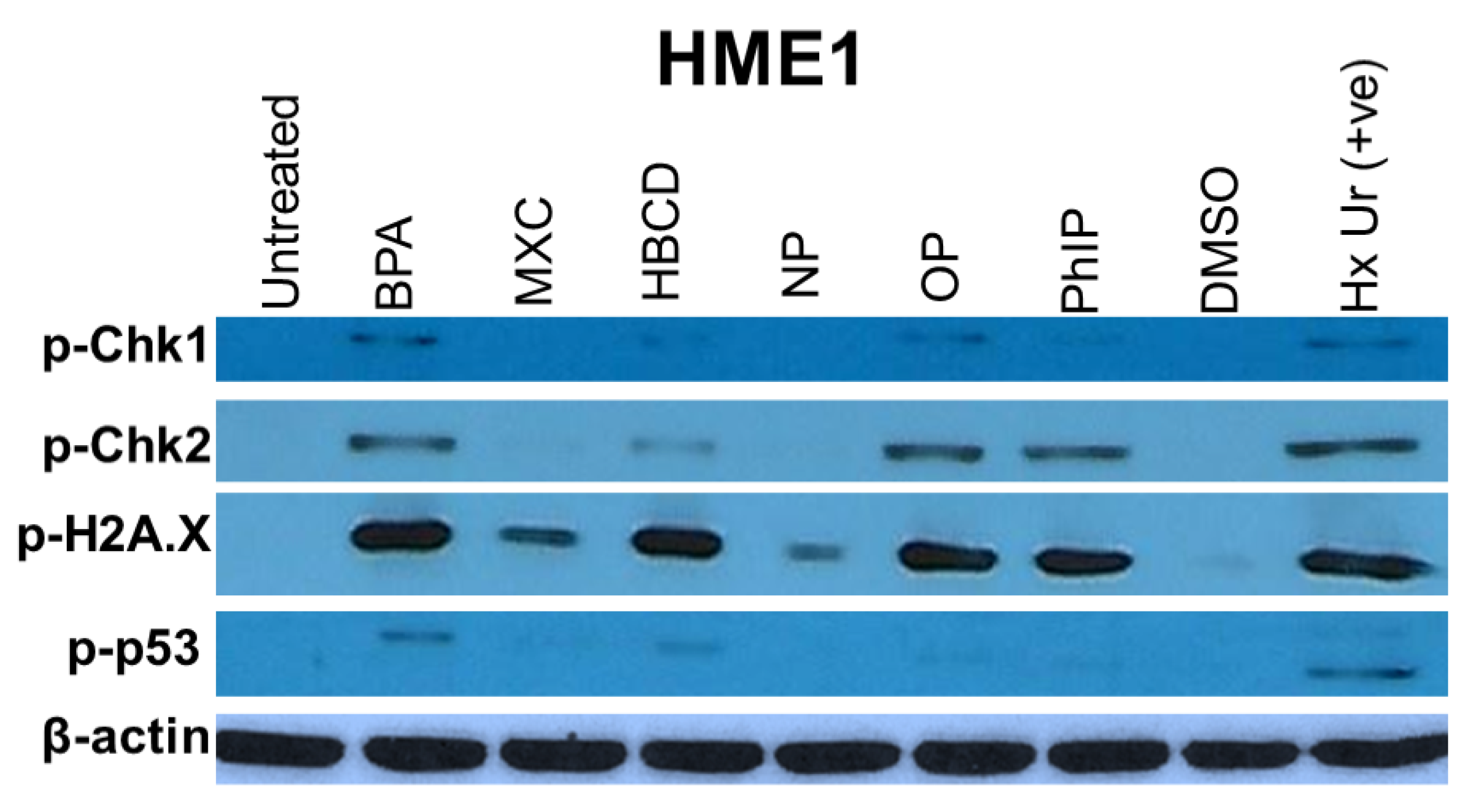 Ijms 21 03735 g002 Ijms 21 03735 g002